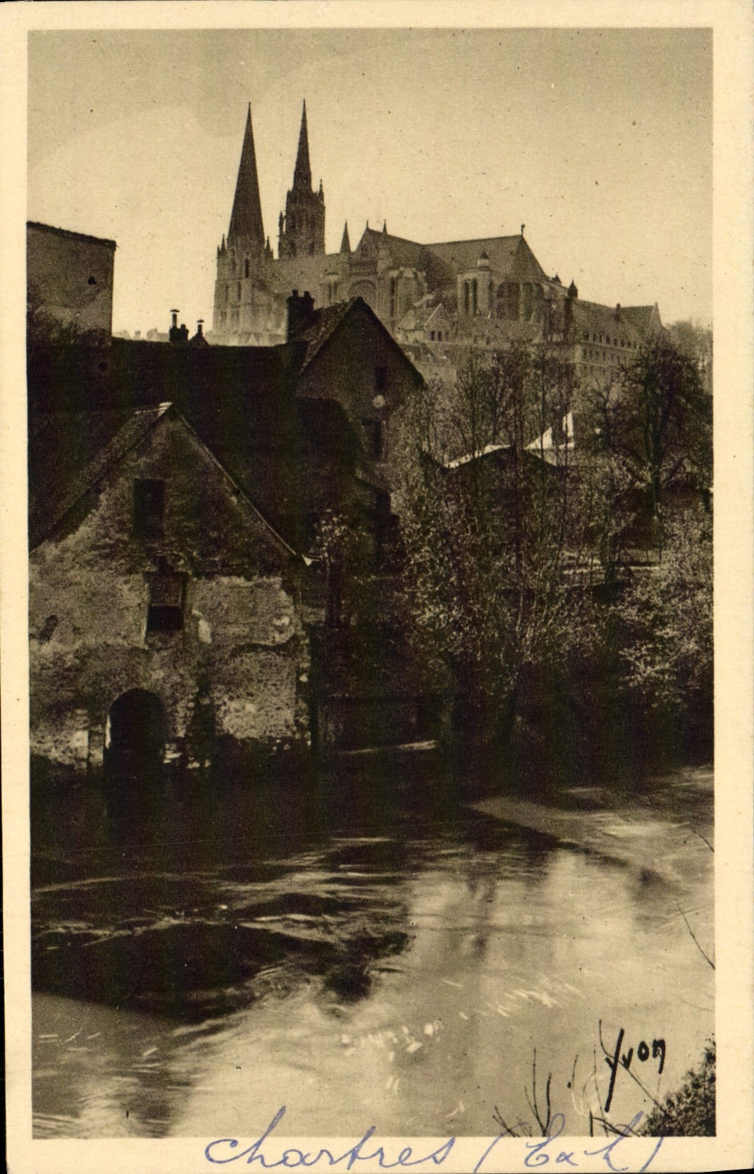 Mestizo Chartres de la POSTAL de la VENDIMIA del resorte en los bordes del Eure
