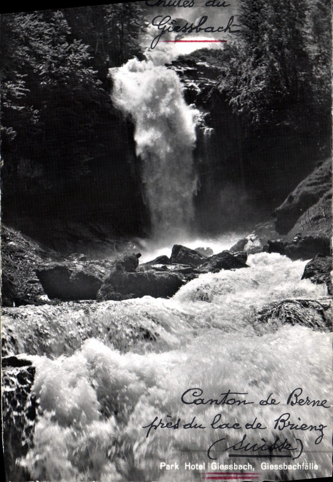 MODERN CARD Park Giessbach Hotel