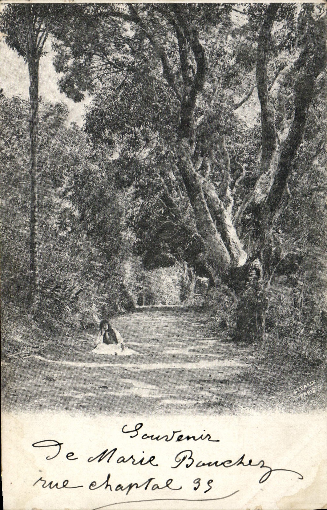 VINTAGE POSTCARD Under wood