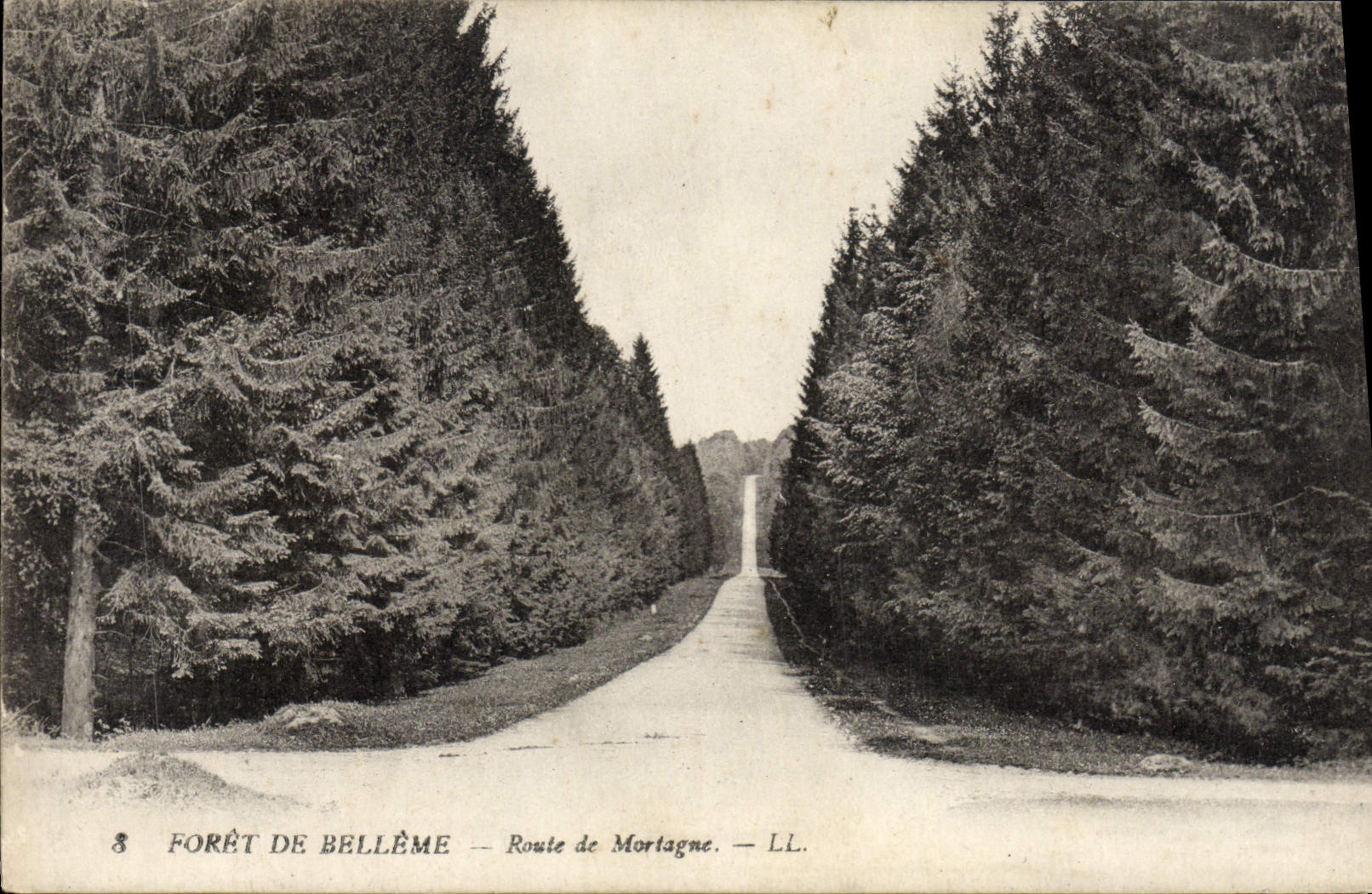 CPA Foret De Belleme Route de Mortagne
