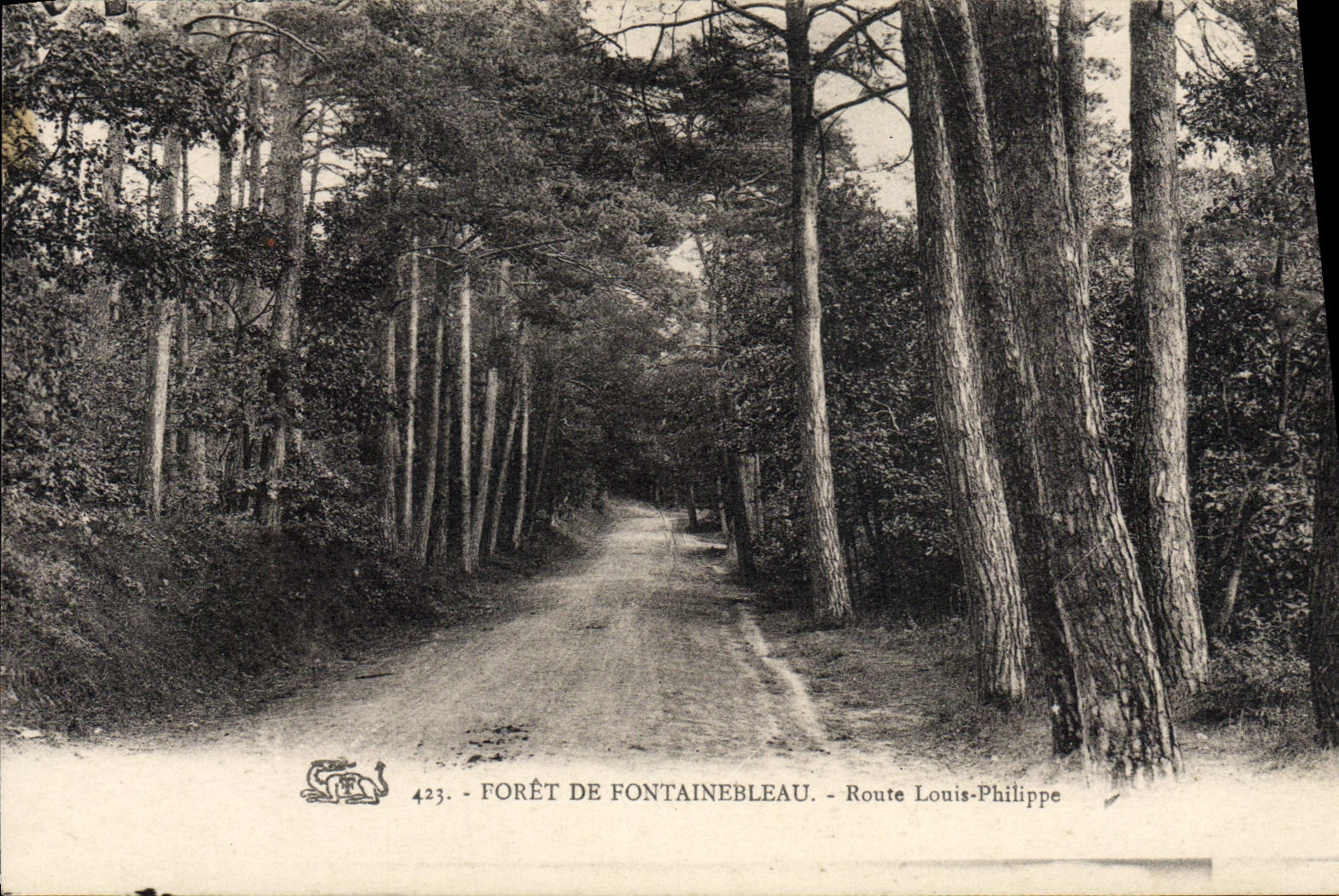 CPA Foret De Fontainebleau Route Louis Philippe