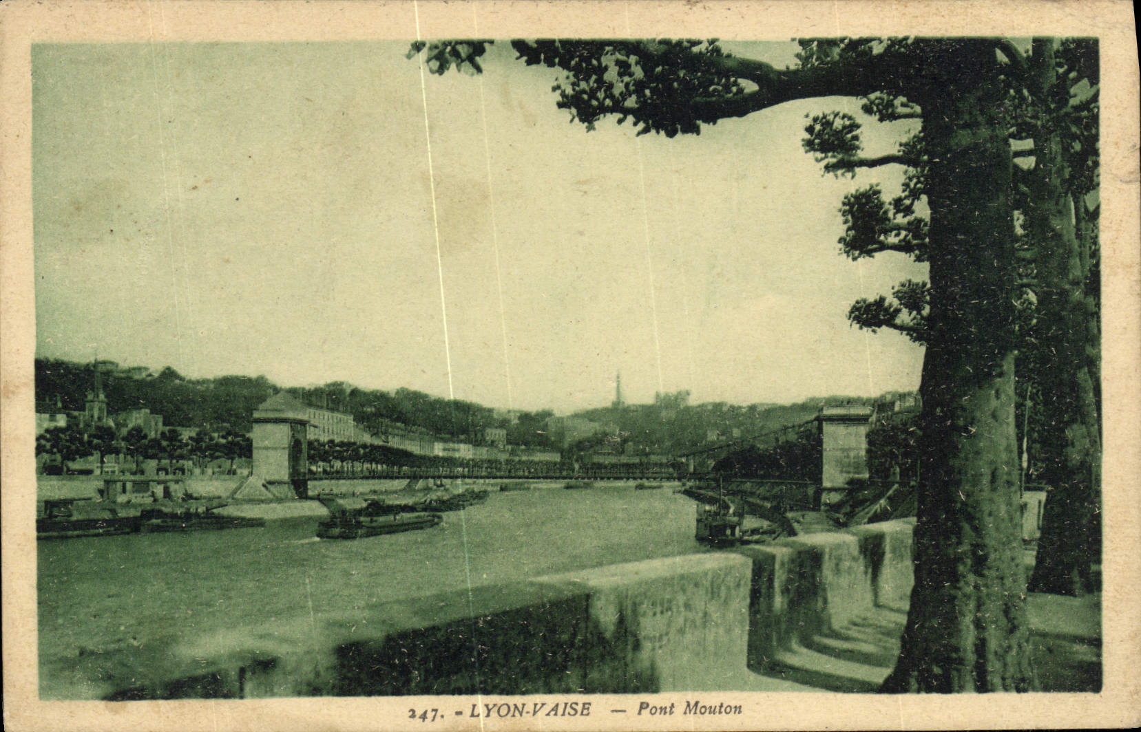 Ovejas del puente de Lyon Vaise de la POSTAL de la VENDIMIA