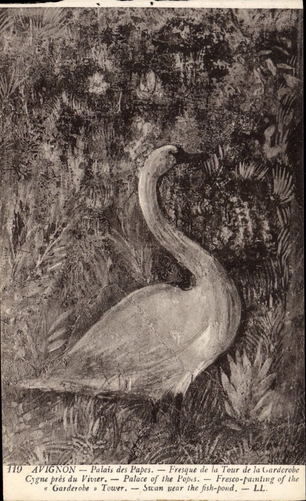 Paladar de Avignon de la POSTAL de la VENDIMIA de los papas Fresco de la torre del cisne de Garderobe cerca de la charca de pescados