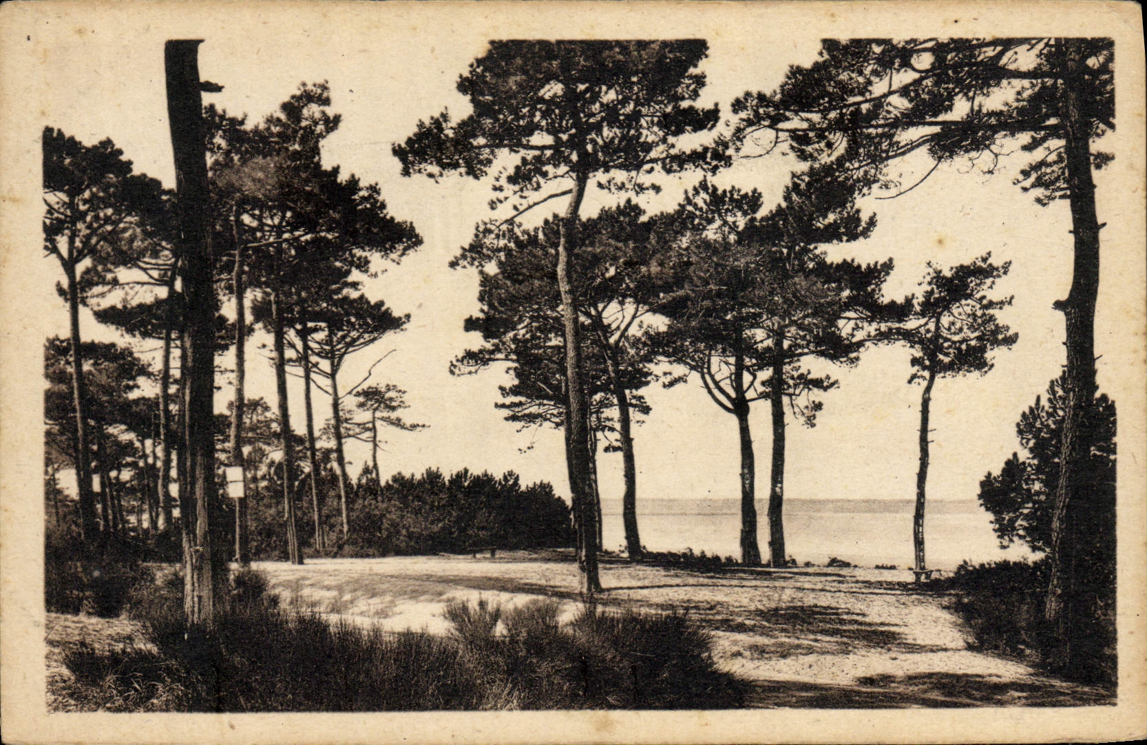 VINTAGE POSTCARD Arcachon Dimensions Money With the Park Of Abatilles
