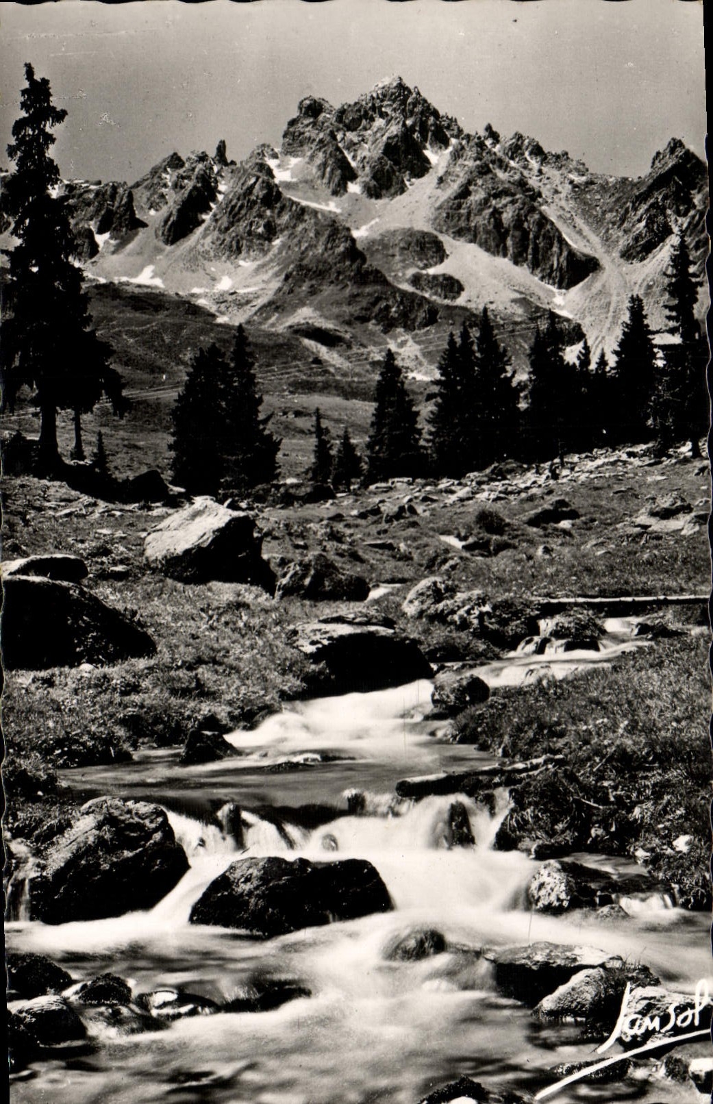 CPM L'Ete Dans Les Alpes Rochers Torrent sapins et cimes 