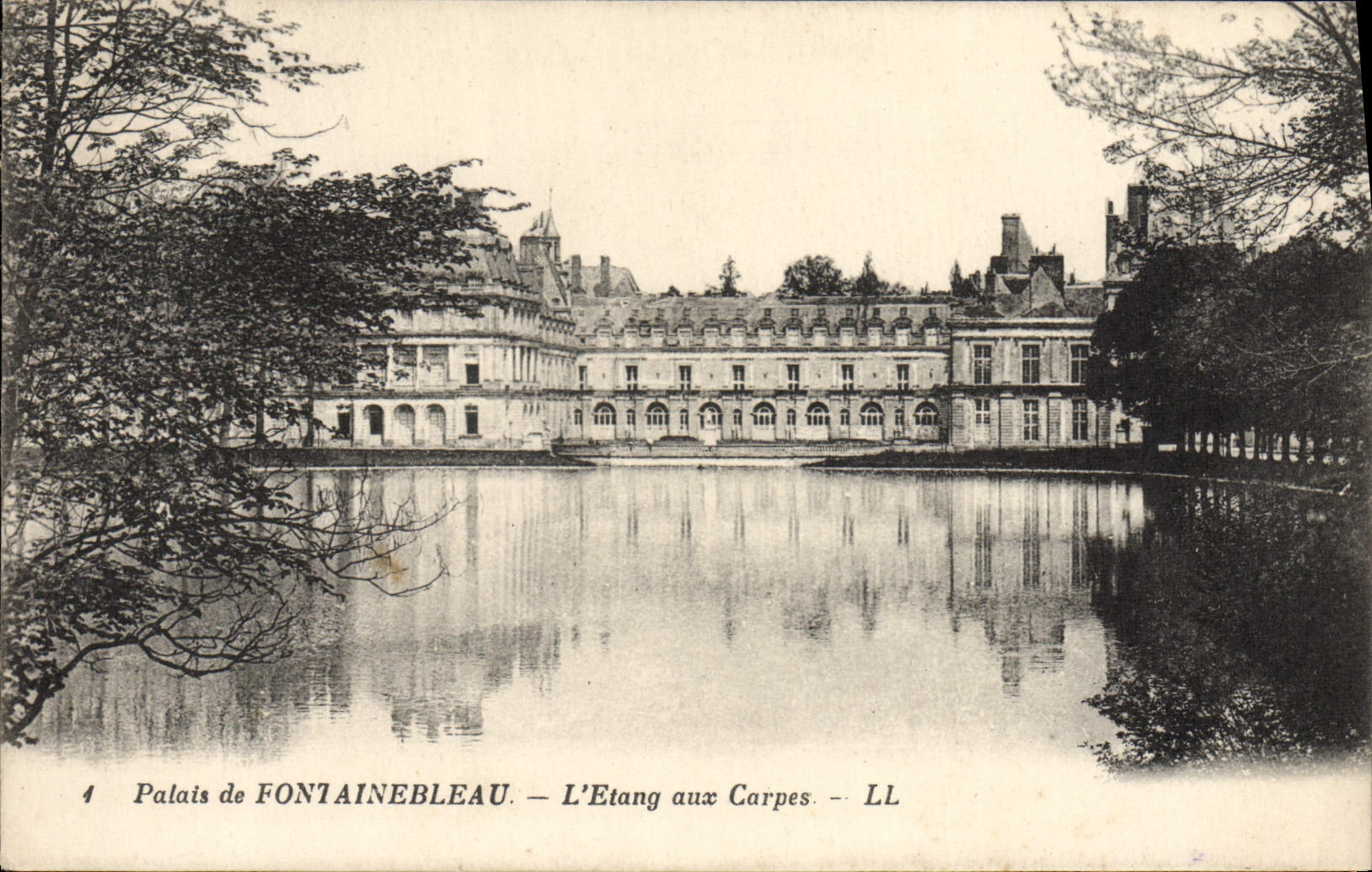 CPA Palais De Fontainebleau L'Etang Aux Carpes