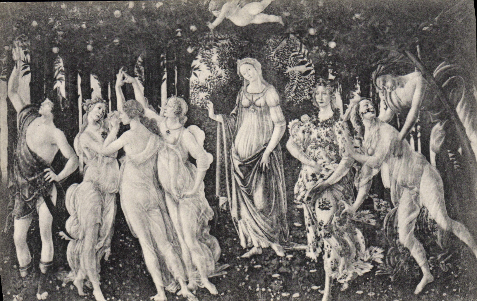 VINTAGE POSTCARD Firenze Accademia Di Belle Arti Sandro Botticelli