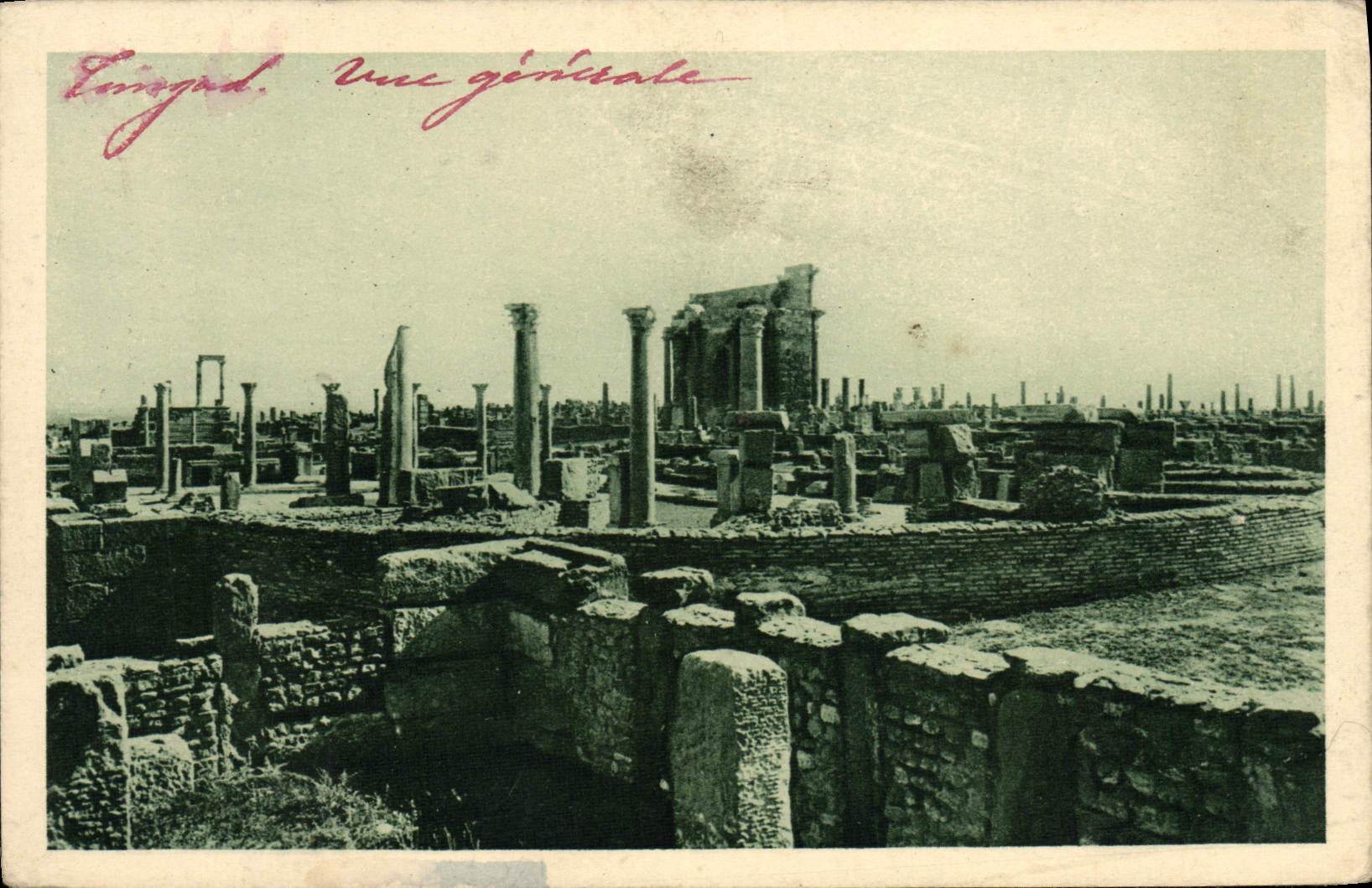 CPA Timgad Vue generale