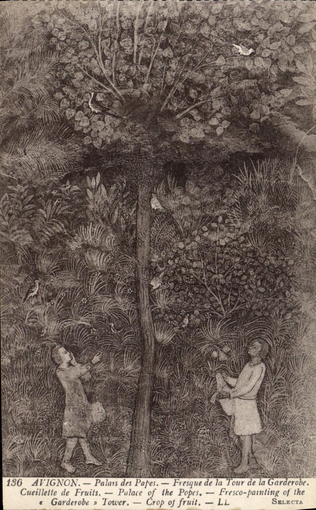 Paladar de Avignon de la POSTAL de la VENDIMIA de los papas Fresco Of la torre de la reunión de Garderobe de frutas