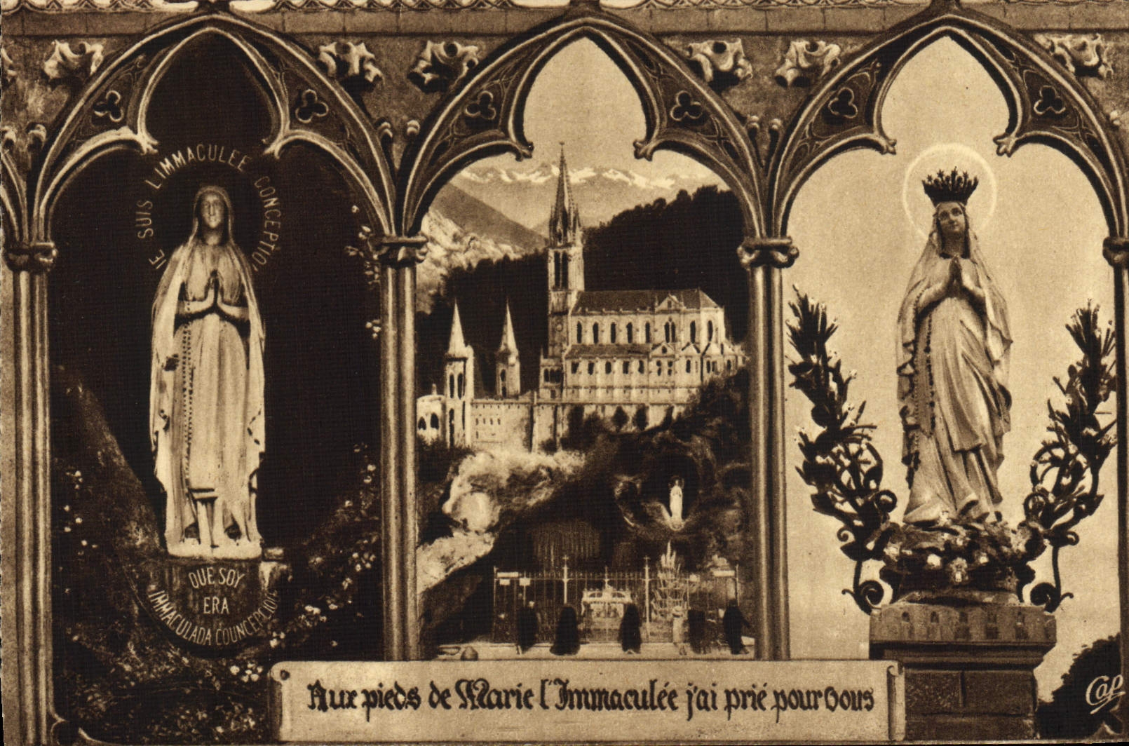 Inmaculado pesado de la POSTAL de la VENDIMIA