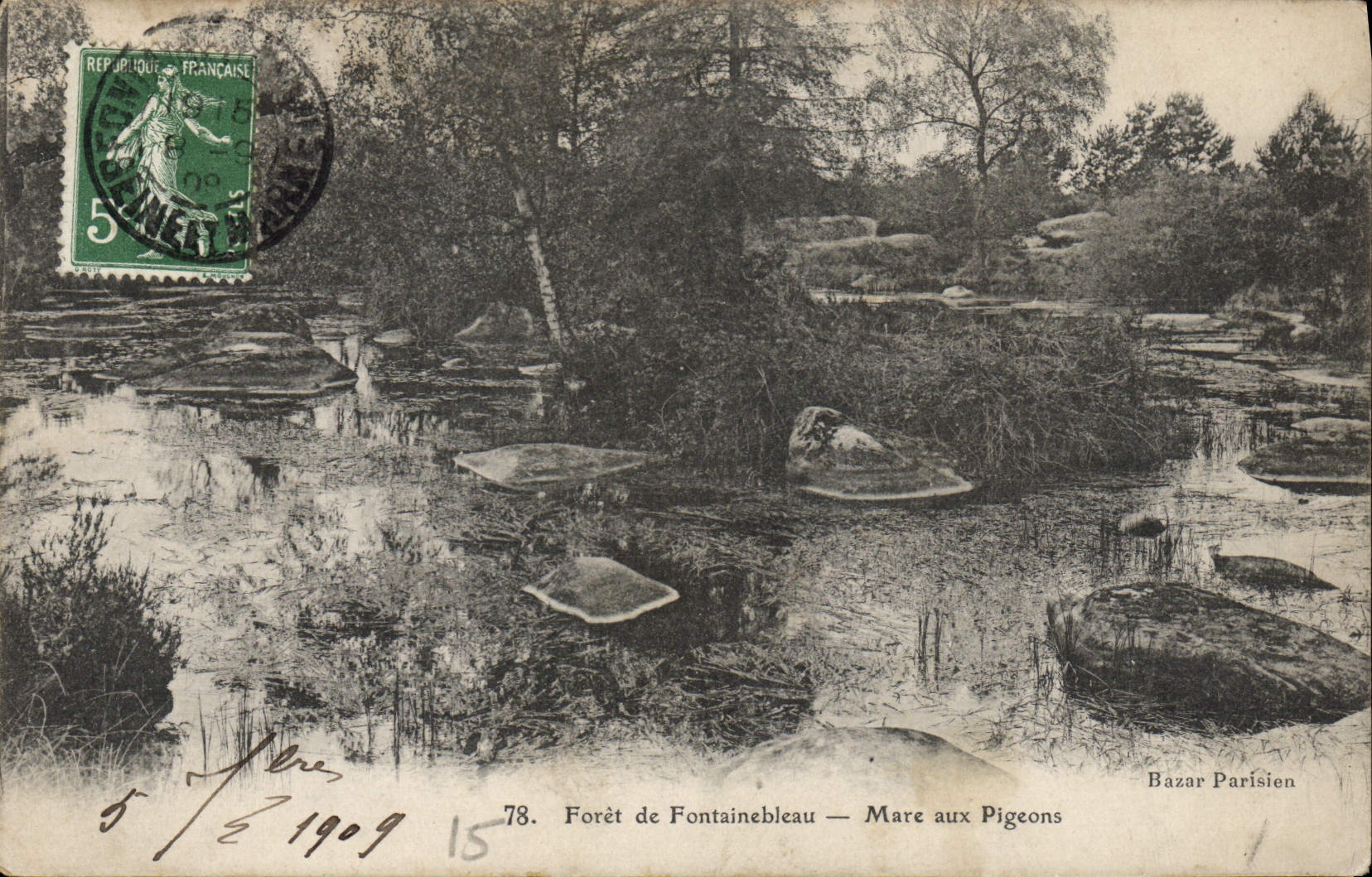 CPA Foret De Fontainebleau Mare Aux Pigeons