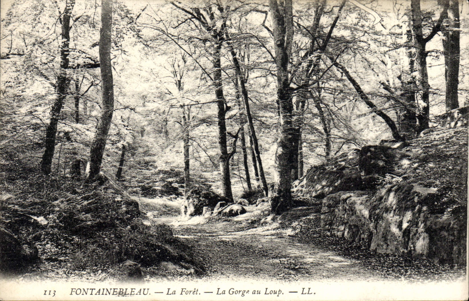 VINTAGE POSTCARD Fontainebleau the Drill the Throat With the Wolf