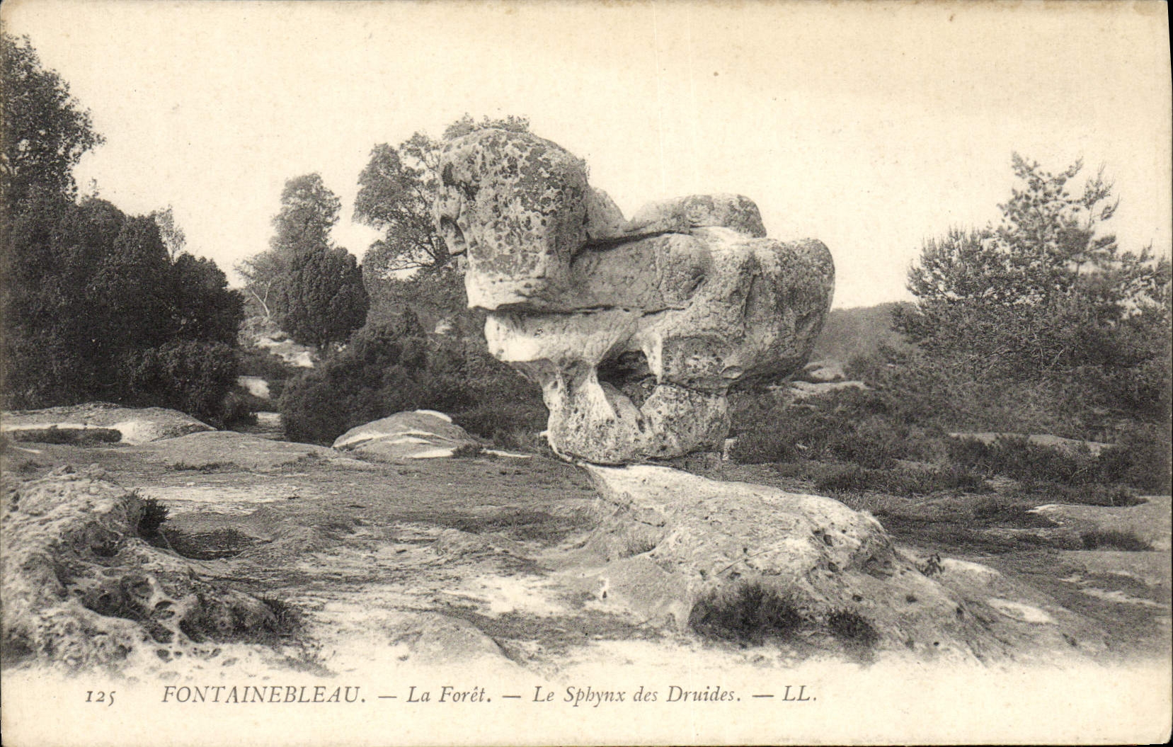 VINTAGE POSTCARD Fontainebleau the Drill the sphynx of the druids