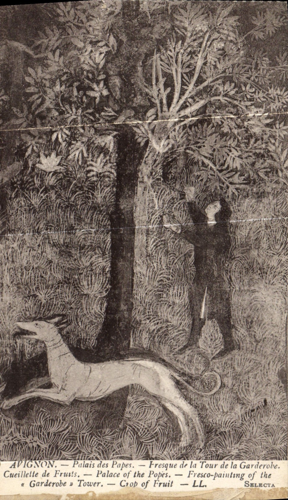 Paladar de Avignon de la POSTAL de la VENDIMIA de los papas Fresco de la torre de la reunión del garderobe de los frutis