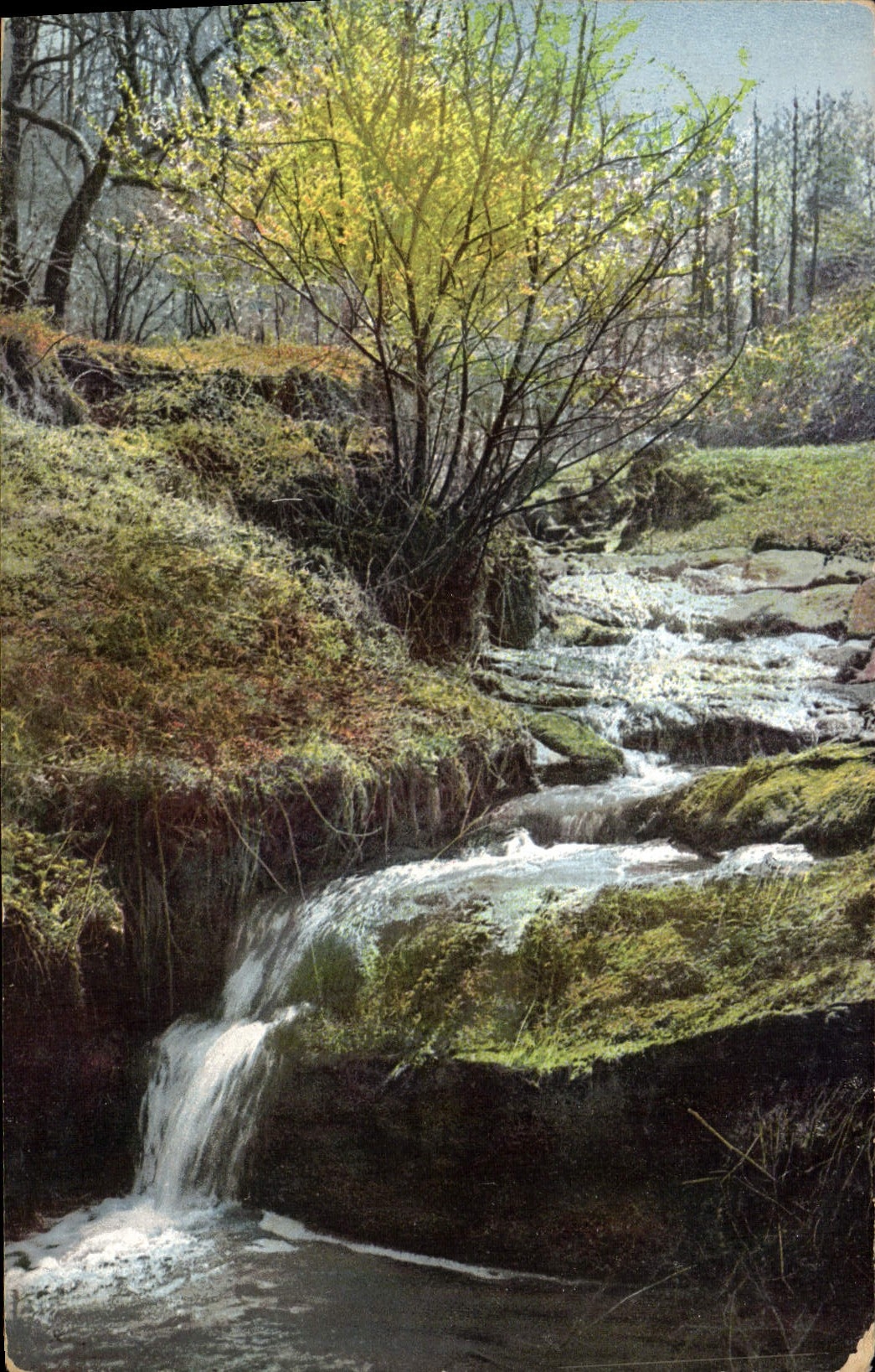 VINTAGE POSTCARD Paysage Cascades