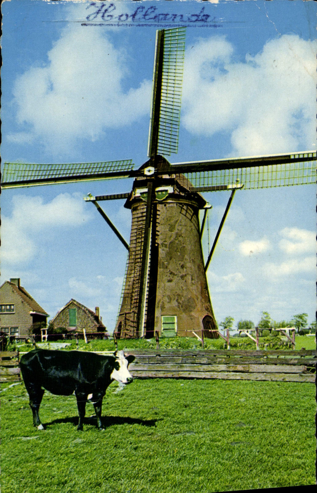 POSTAL MODERNA vaca del molino de viento