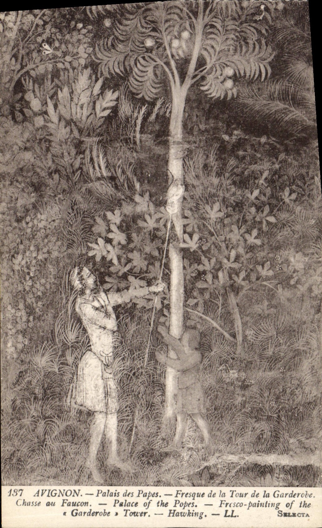 Paladar de Avignon de la POSTAL de la VENDIMIA de los papas Fresco de la torre de la caza del garderobe para el rapaz del halcón