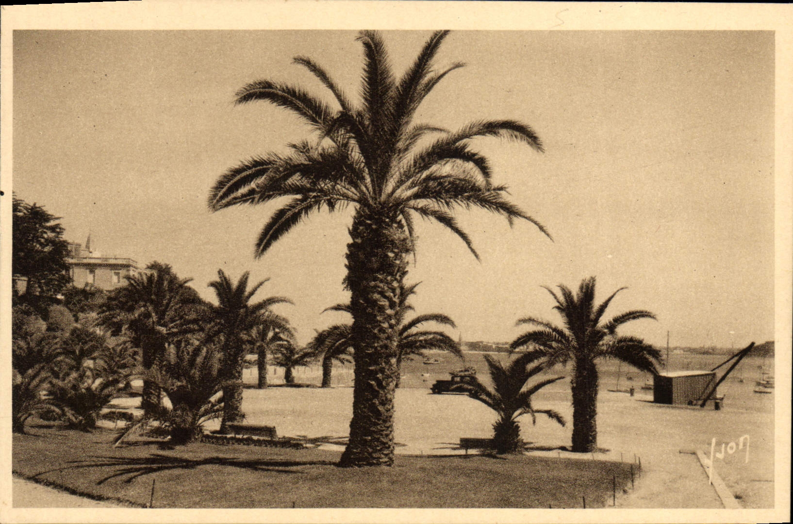 Jardín público de Dinard de la POSTAL de la VENDIMIA de las palmeras