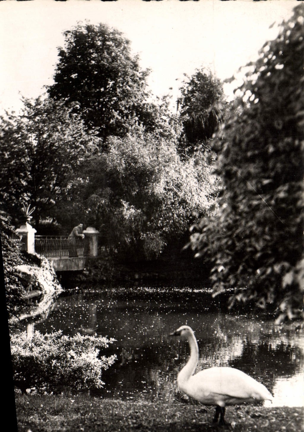 CPM Vichy Le parc Sygn