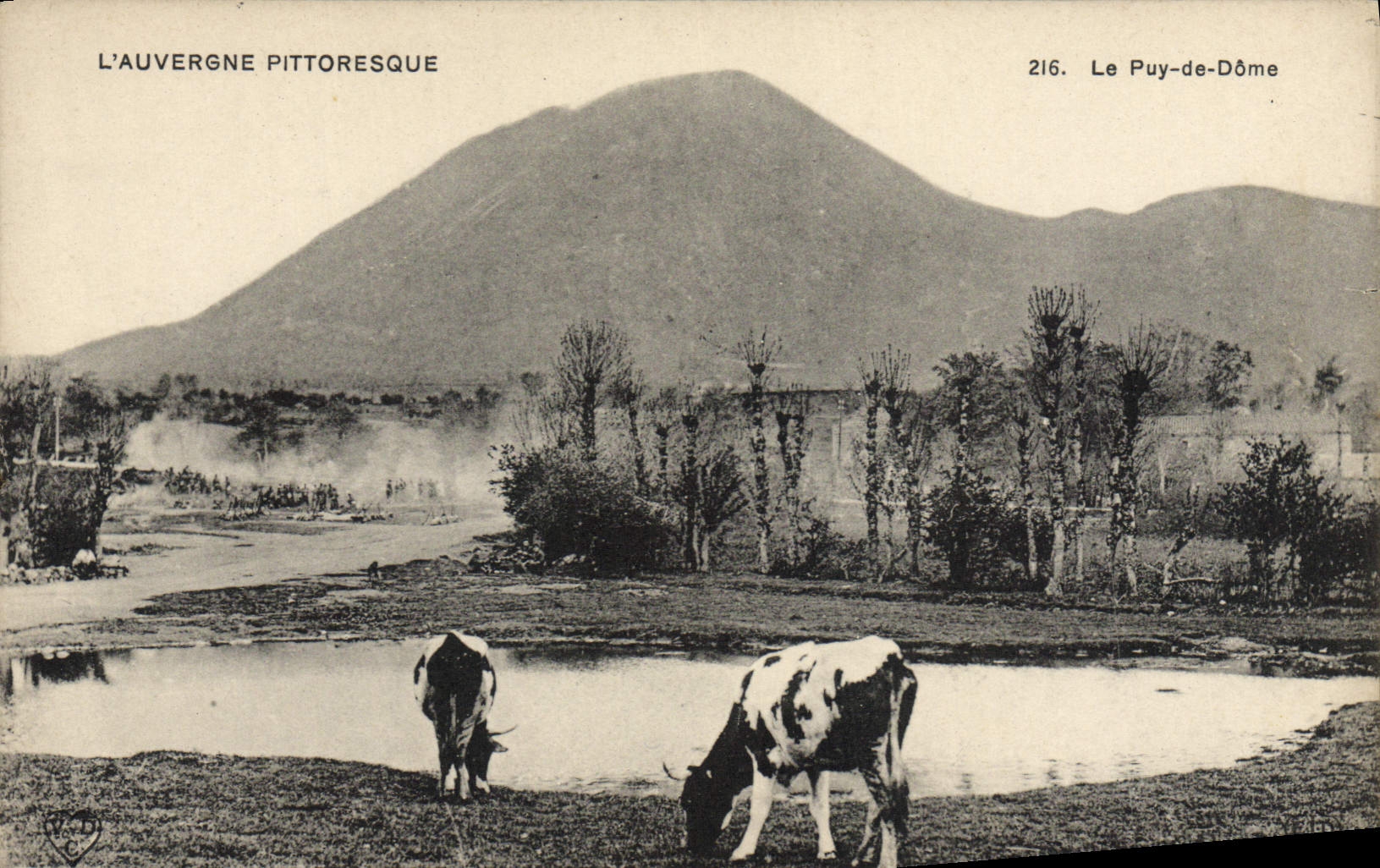VINTAGE POSTCARD Picturesque Auvergne Puy de Dome Cows