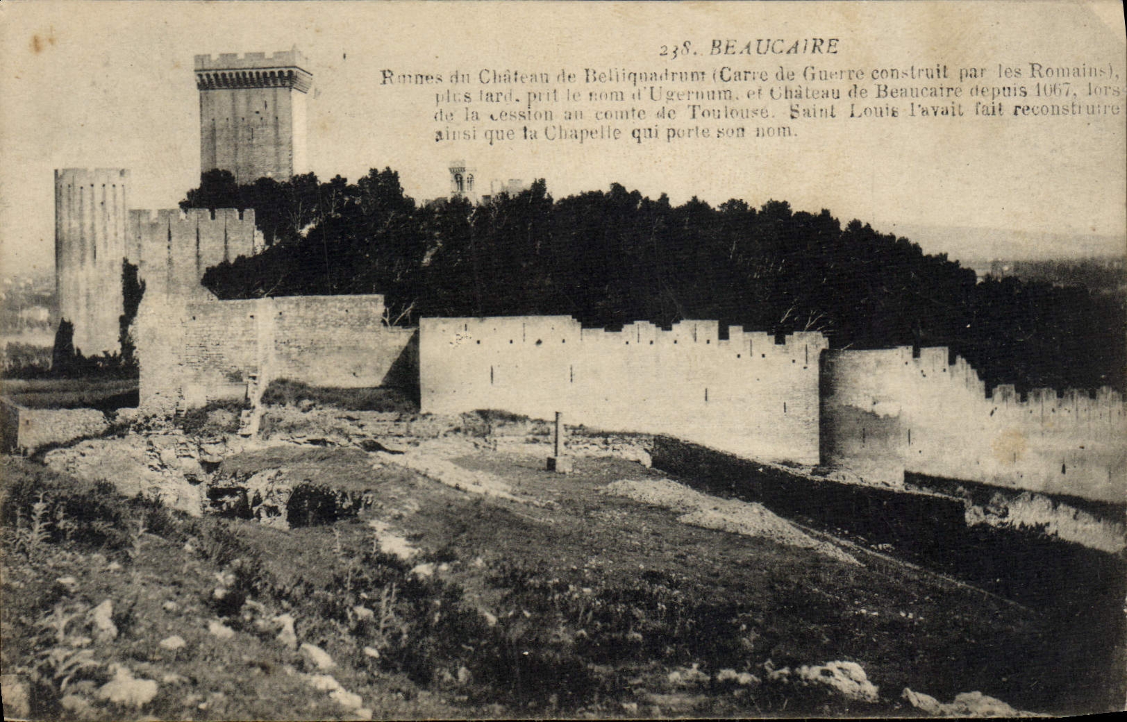 CPA Beaucaire Les Ruines Du Chateau