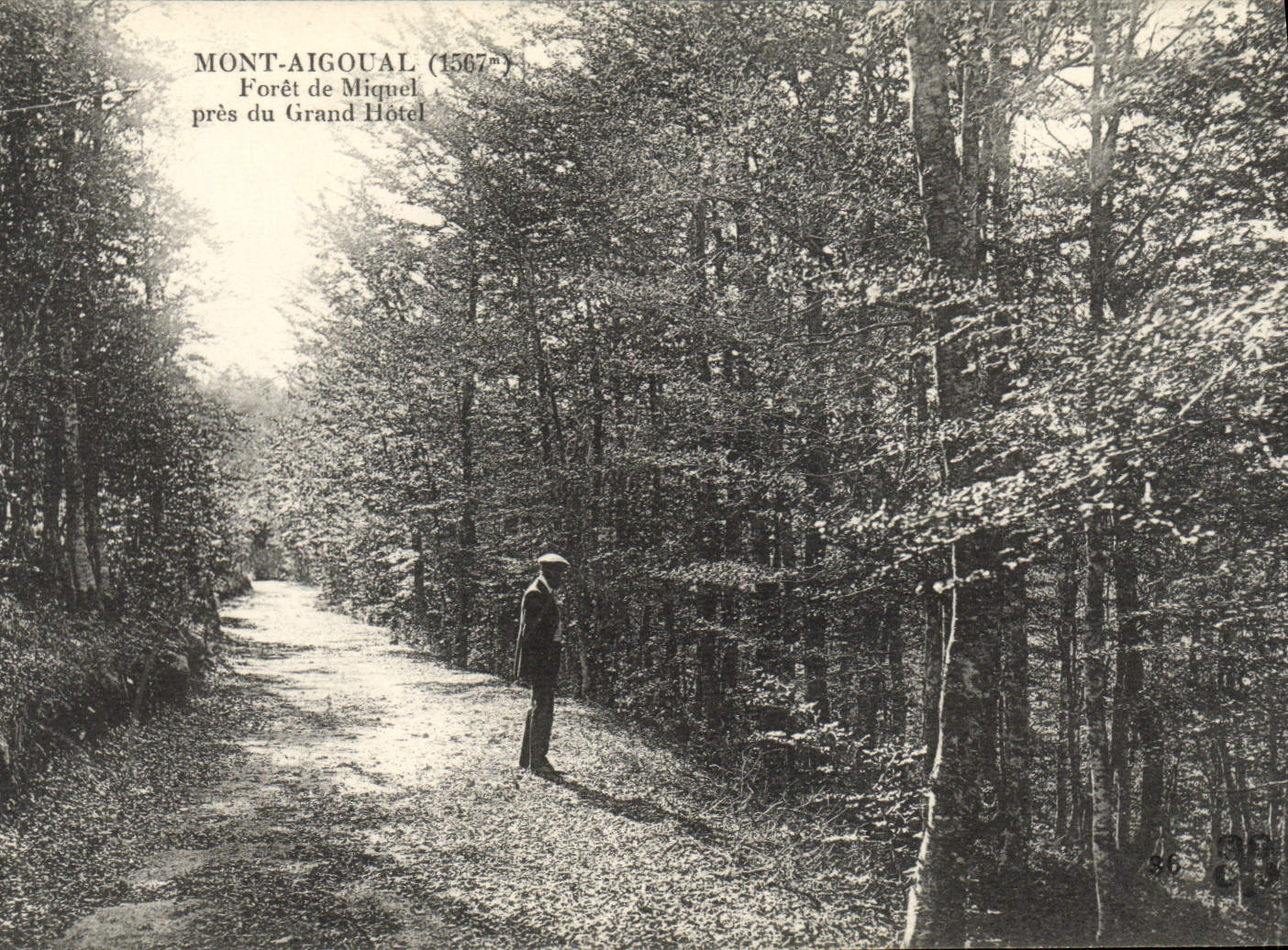 VINTAGE POSTCARD Mount Aigoual Drill De Miquel close to the Large Hotel