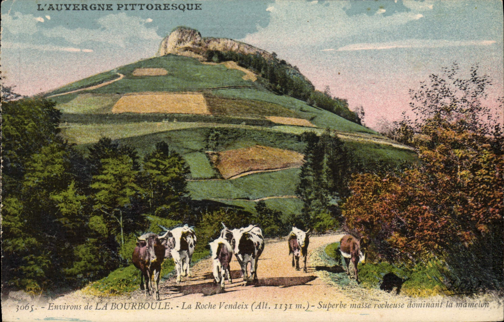 VINTAGE POSTCARD Surroundings of Bourboule Cows
