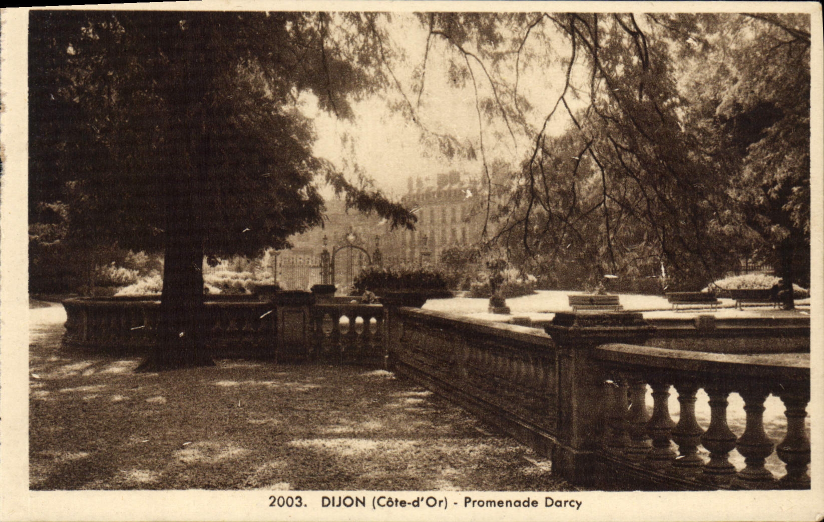 VINTAGE POSTCARD Dijon Walk Darcy