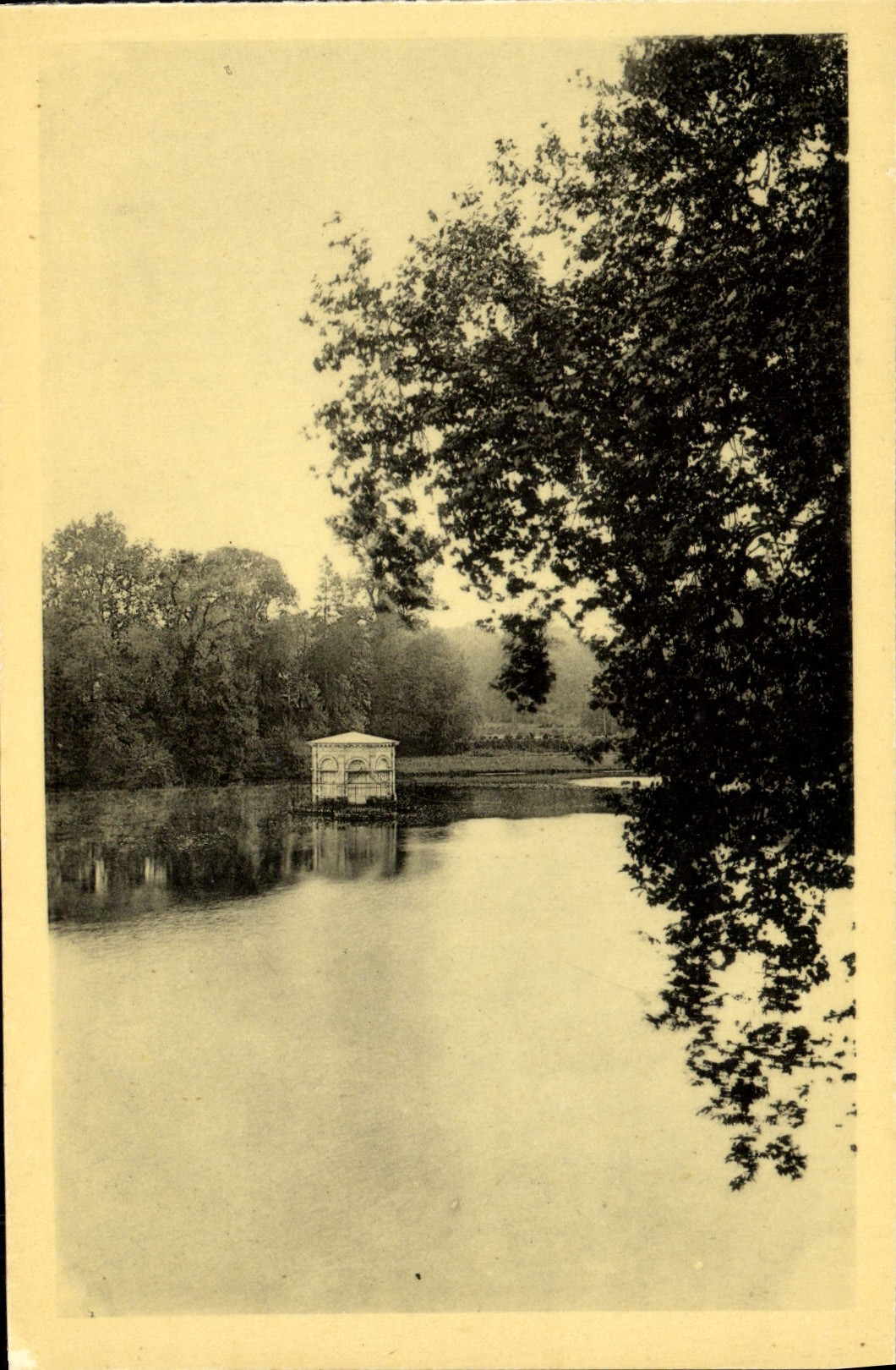 VINTAGE POSTCARD Castle De Fontainebleau the pond of carps