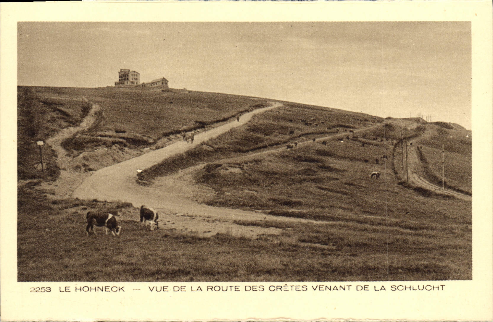 VINTAGE POSTCARD Hohneck Seen of the Road of the peaks coming of Schlucht