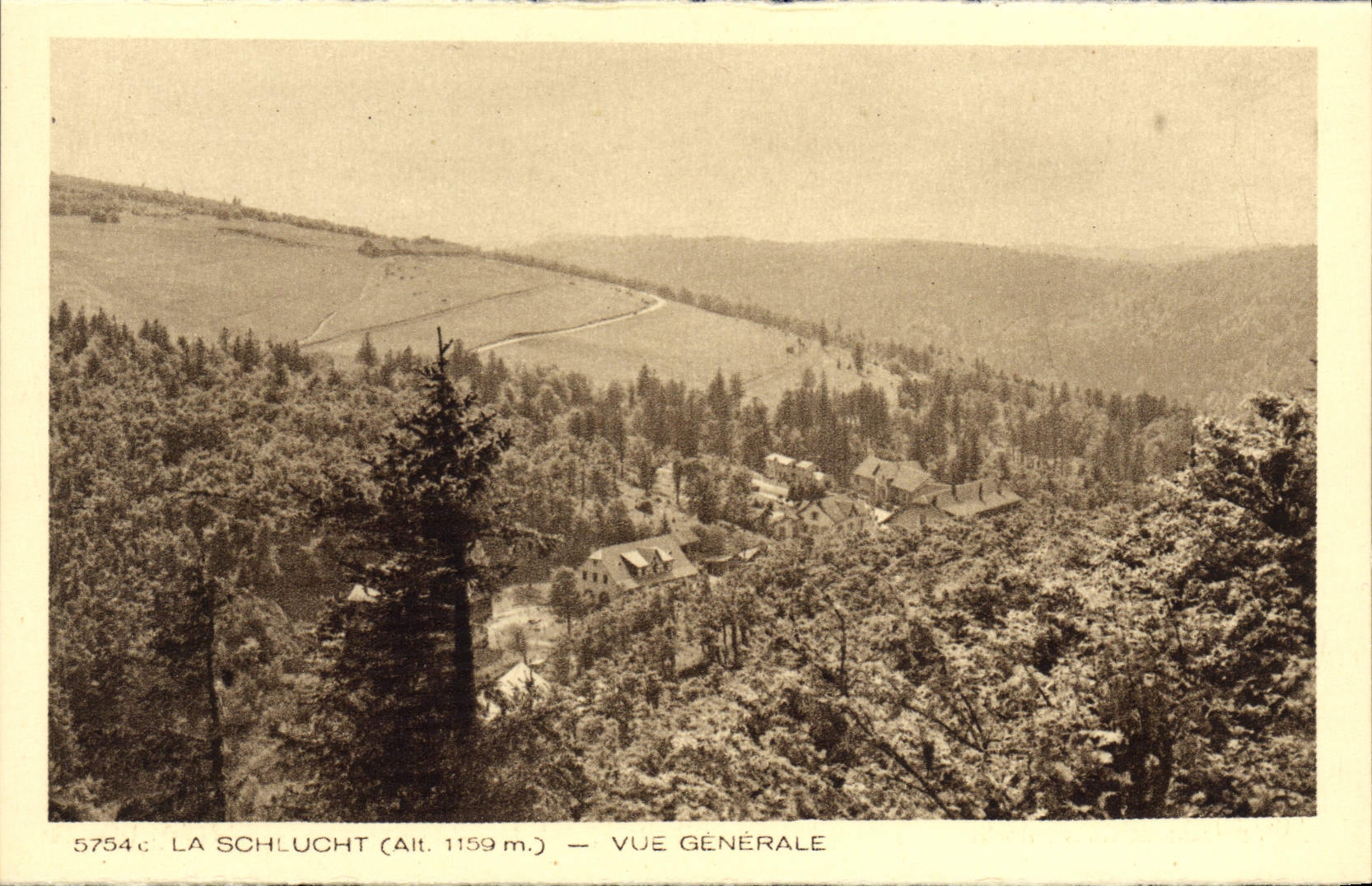 VINTAGE POSTCARD Schlucht View