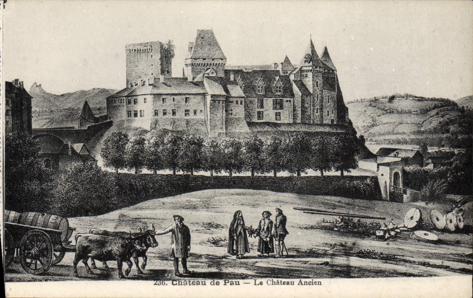 CPA Pau Le chateau ancien 