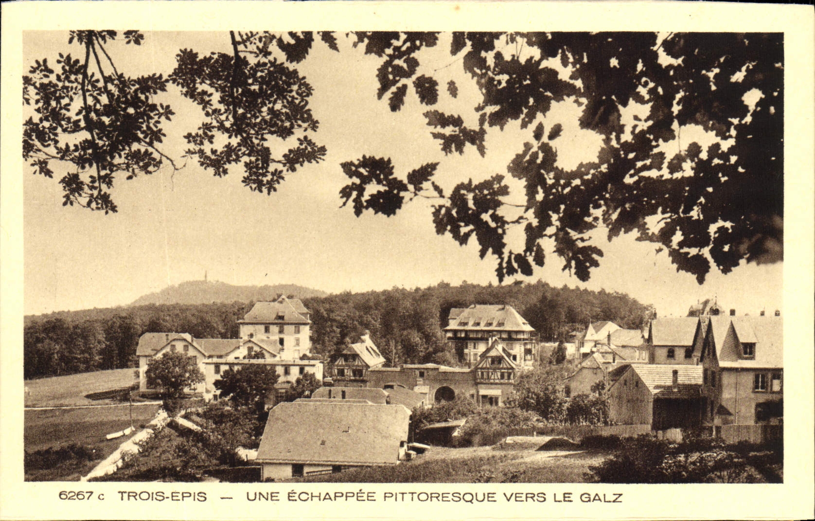 VINTAGE POSTCARD Three Ears Picturesque Cchappee towards Galz