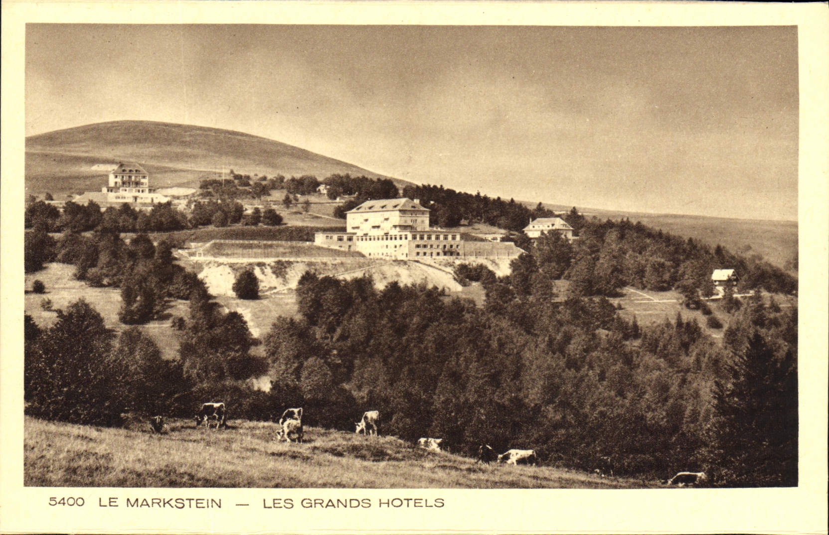 VINTAGE POSTCARD Markstein Large Hotels