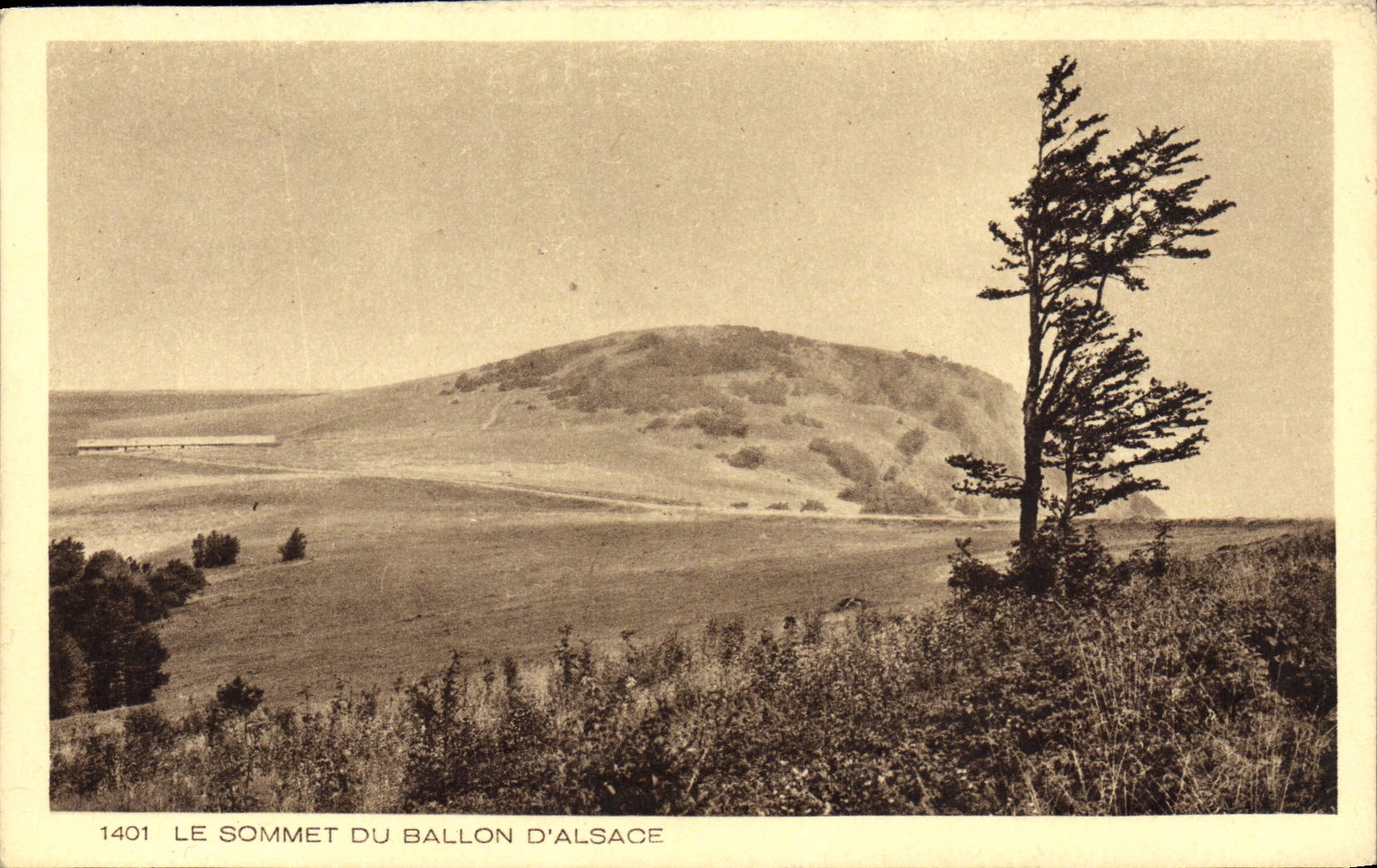VINTAGE POSTCARD the top of the Balloon of Alsace