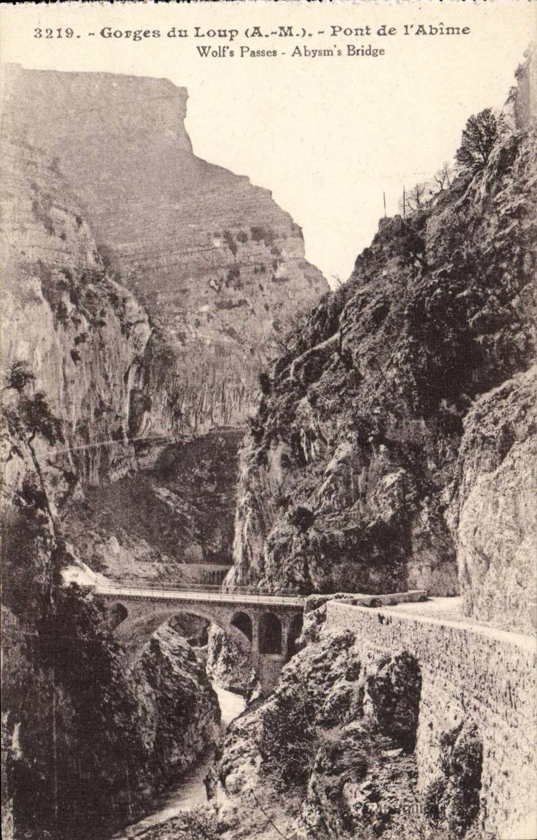 VINTAGE POSTCARD Falls of the Wolf Bridge of the Abyss