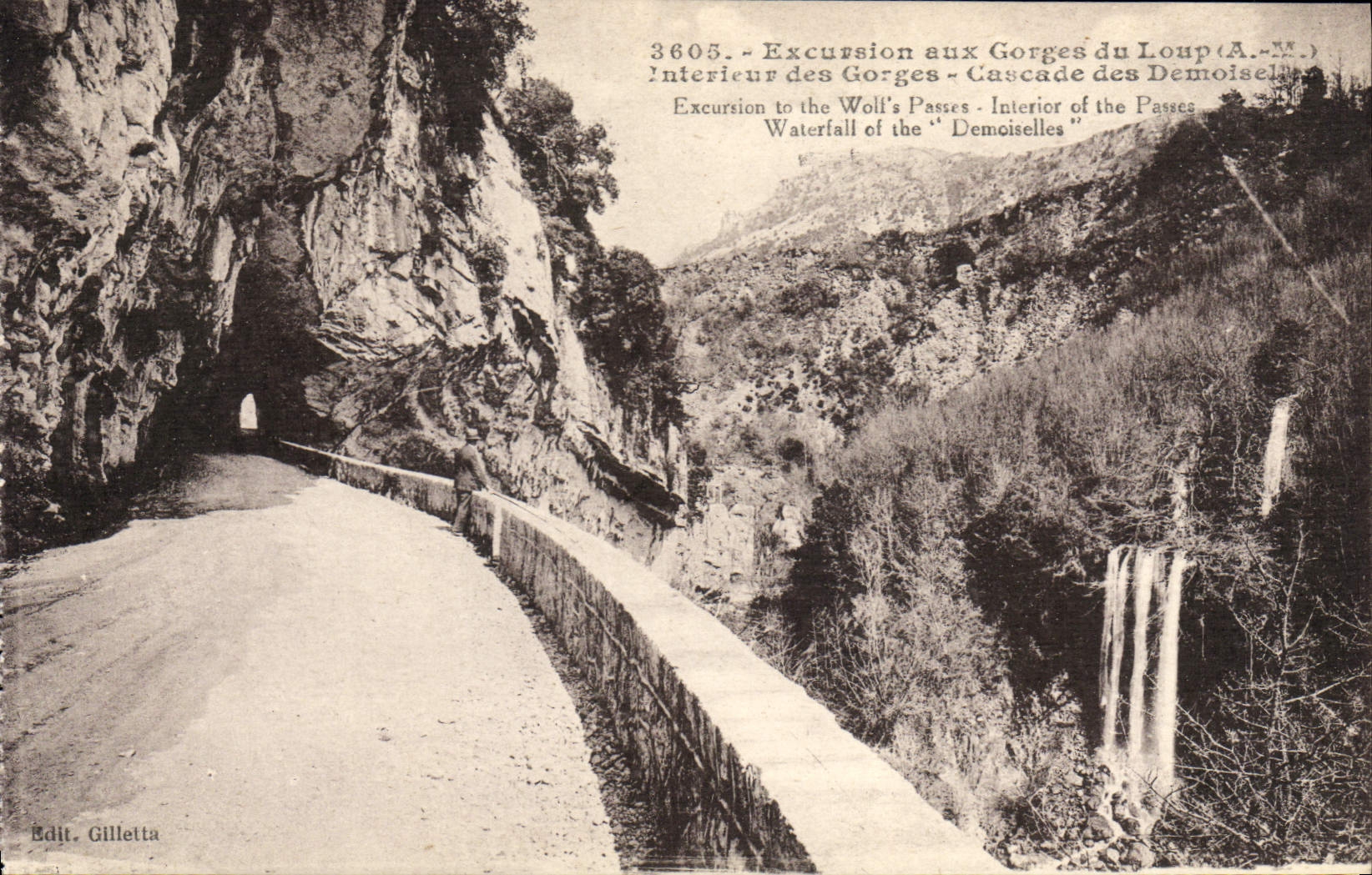 VINTAGE POSTCARD Excursion at the Falls Of the Interior Wolf of the throats Cascades of the young ladies
