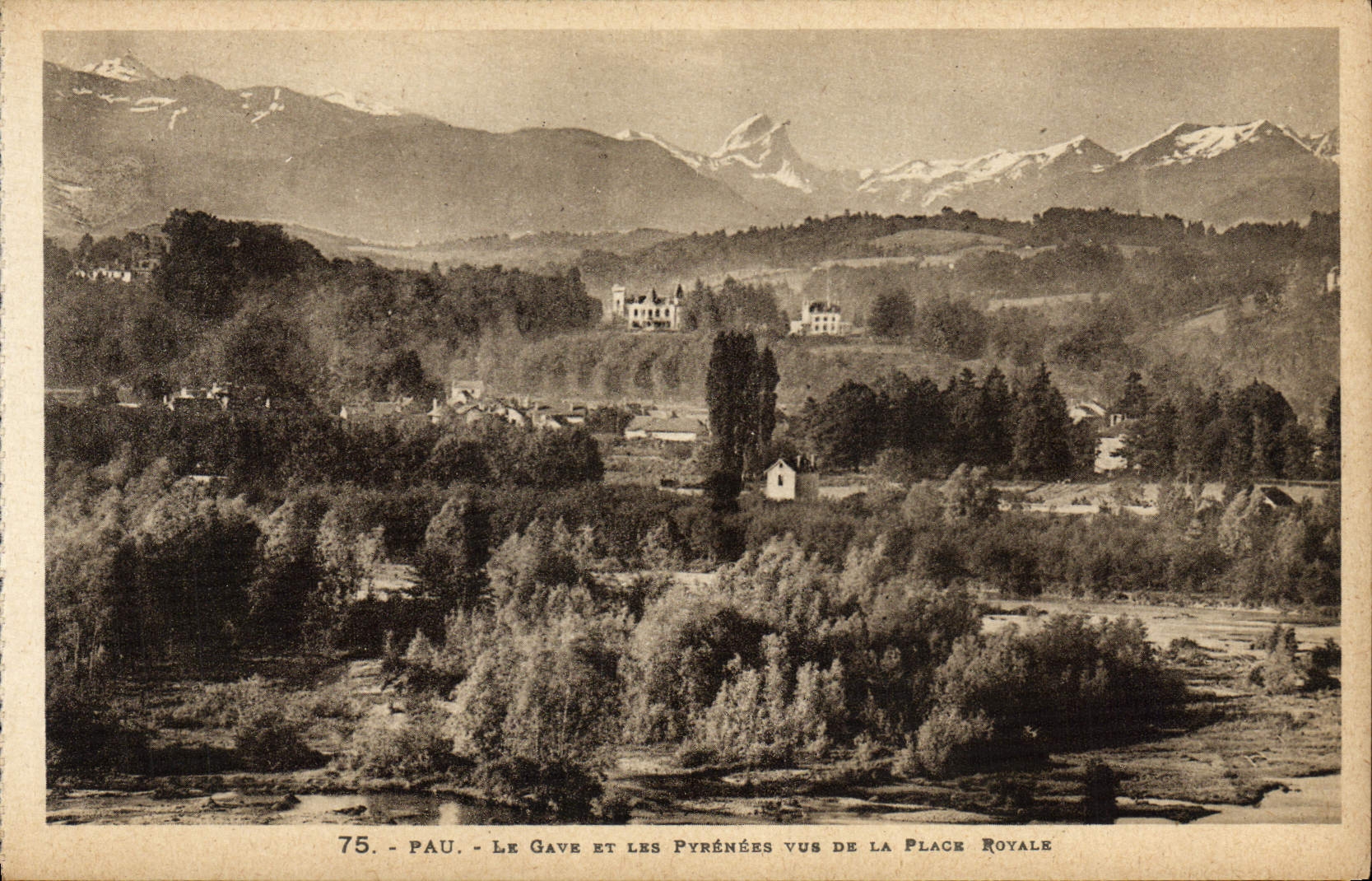CPA Pau Le Gave Et Les Pyrenees vus de la Place Royale