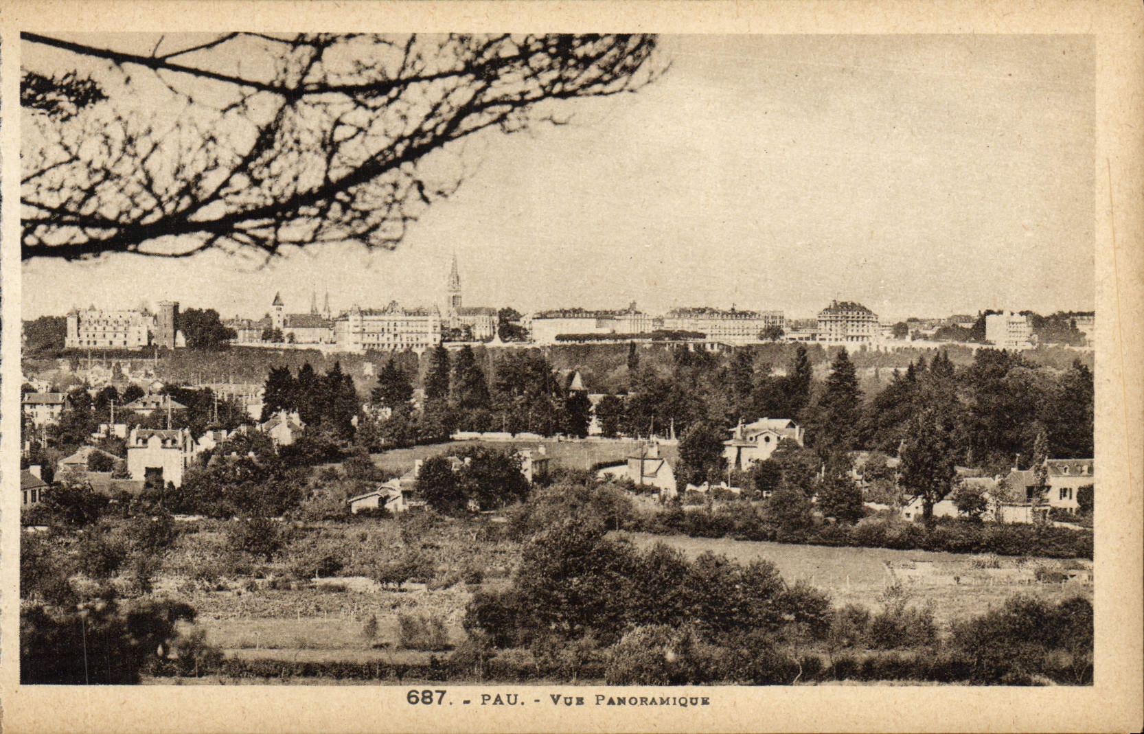CPA Pau Vue Panoramique