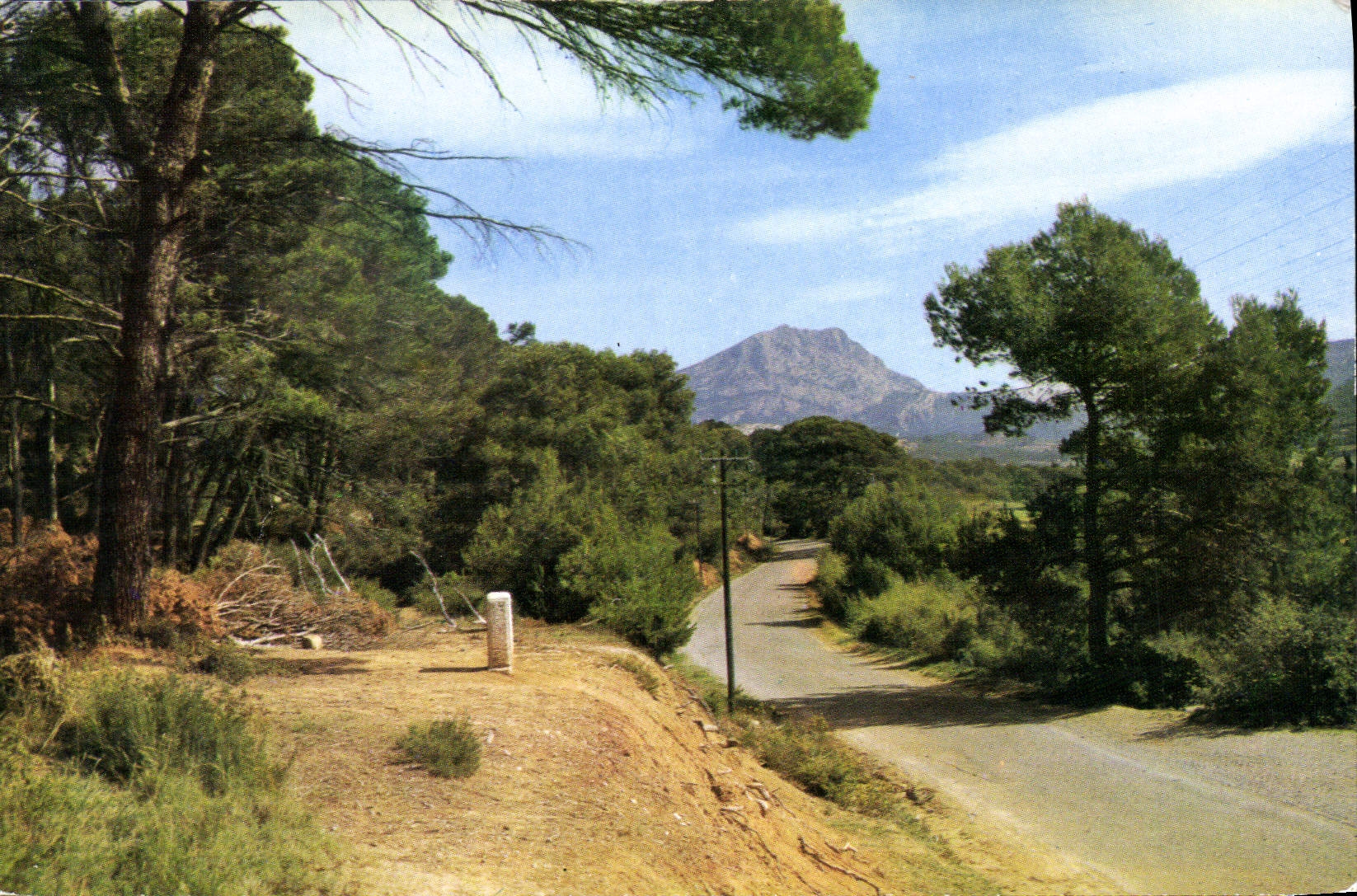 CPM Aix En Provence Route Du Thalonet Cezanne