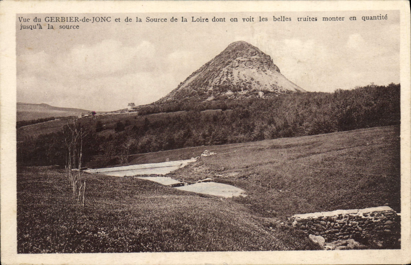 VINTAGE POSTCARD the Gerbier Mount Of the Snap rings And the Source Of the Loire