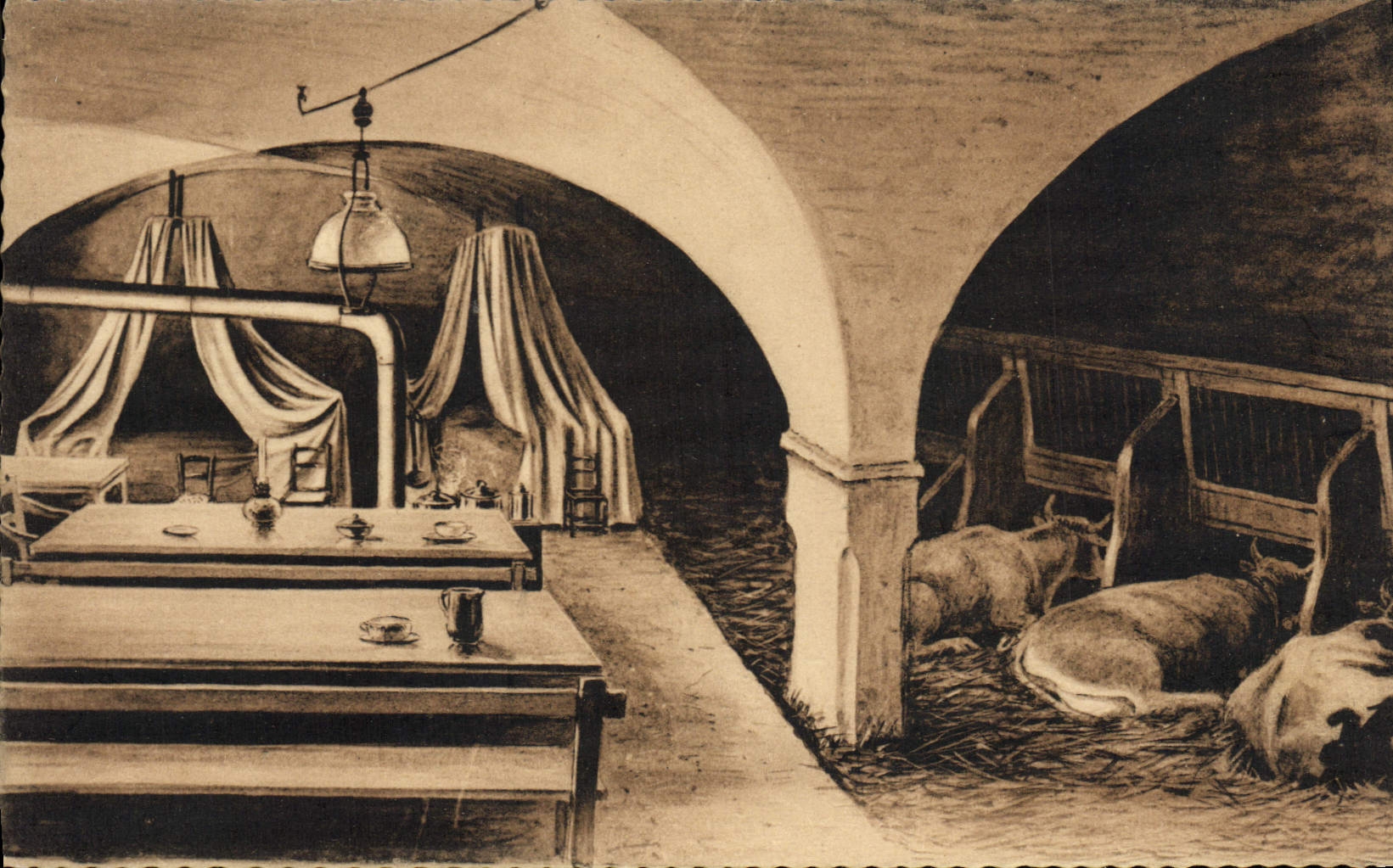 CPA Dauphine Type D'Habitation Du Haut Queyras Vaches