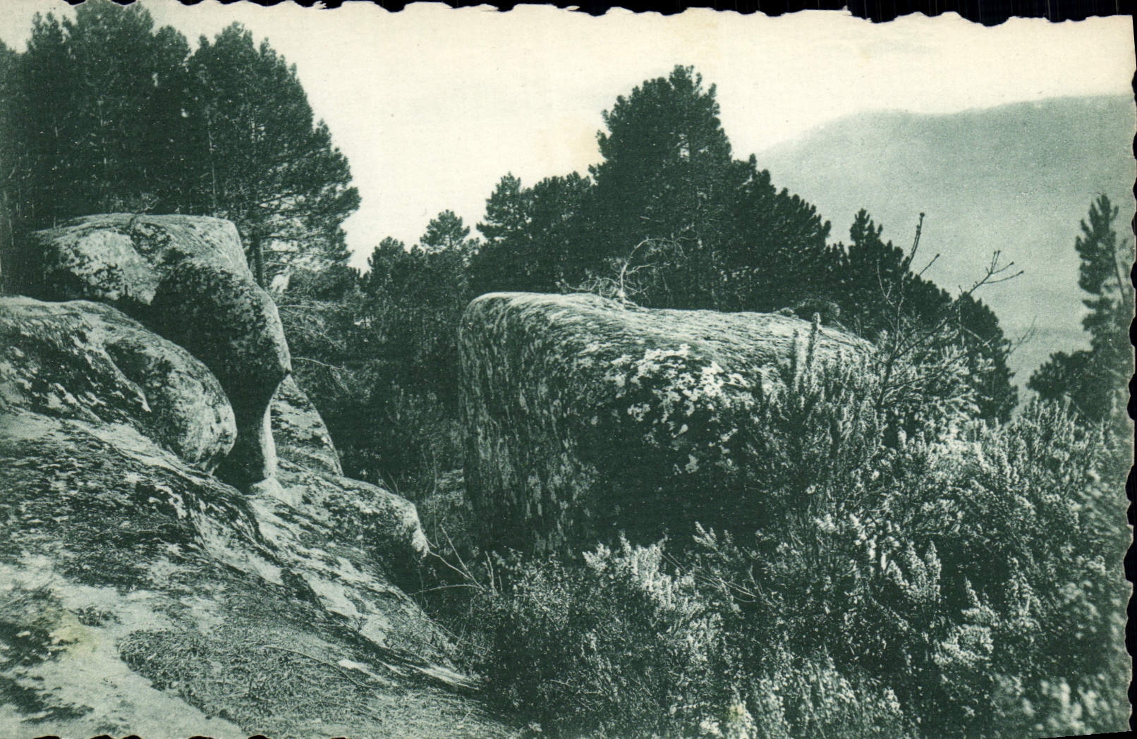 VINTAGE POSTCARD Berre the Alps