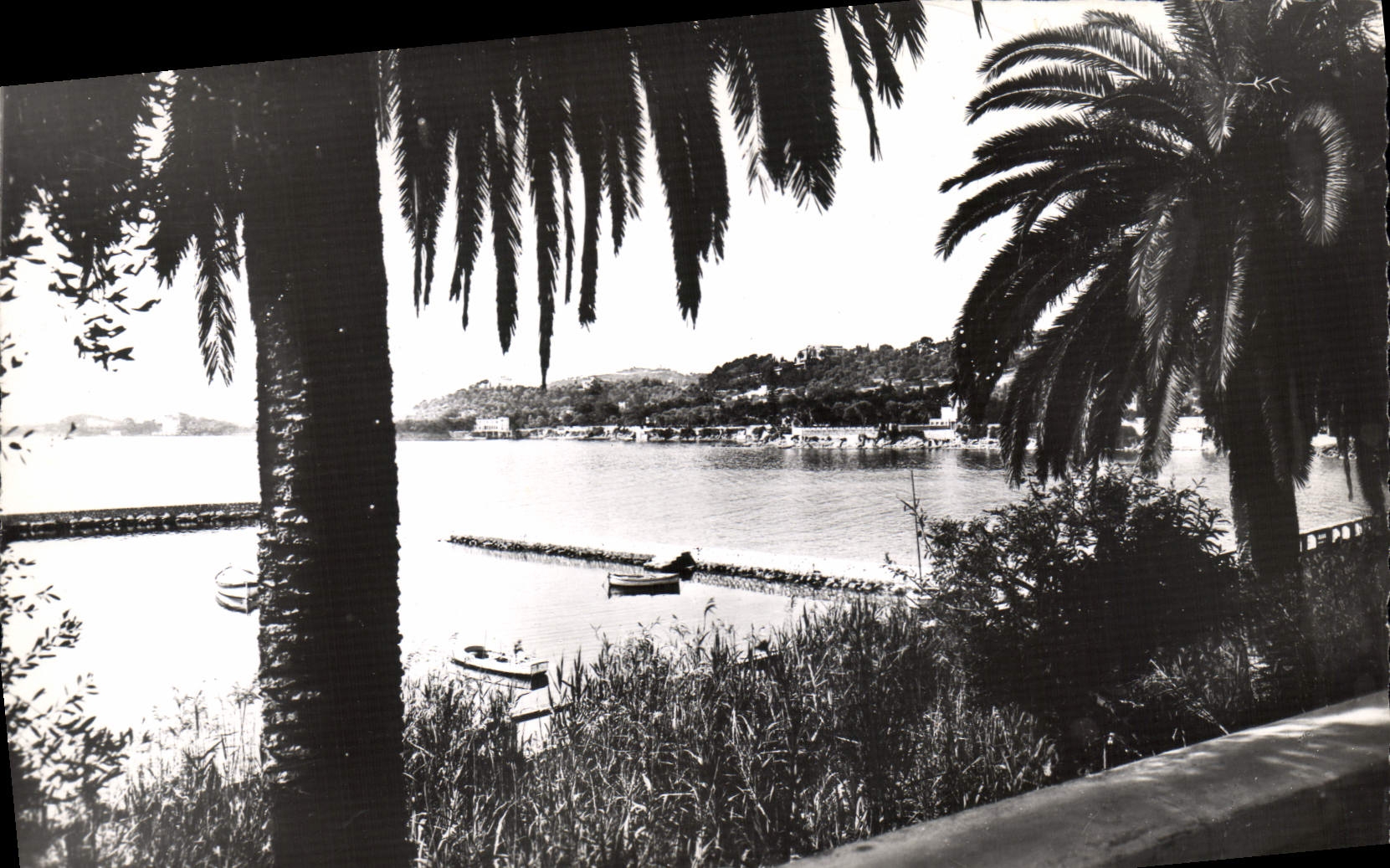 CPM Beaulieu Sur Mer Vue sur la mer et le Cap Ferrat