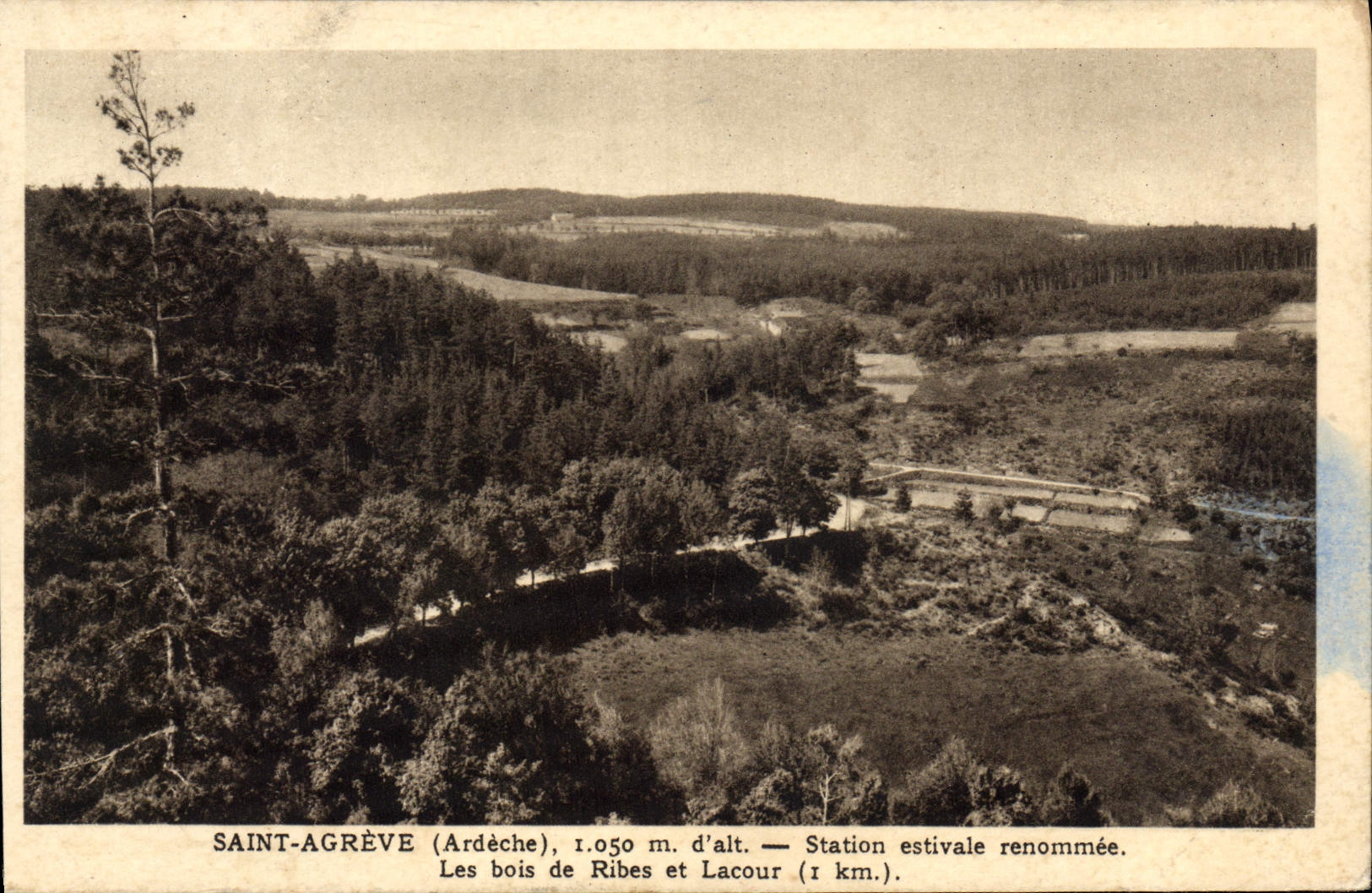 VINTAGE POSTCARD Holy Agreve Famous estival Station the wood of Ribes and Lacour