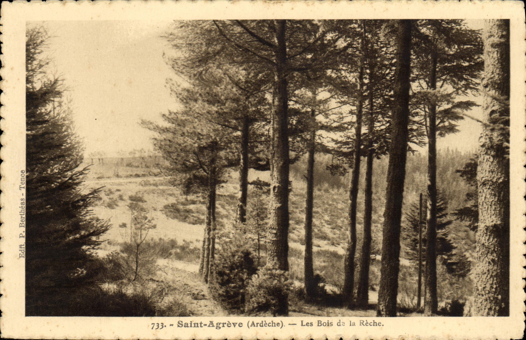 VINTAGE POSTCARD Holy Agreve the Wood of the Rough one