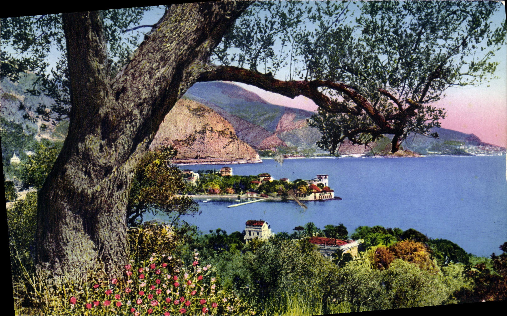 CPA Beaulieu Sur Mer La Pointe Fourmie