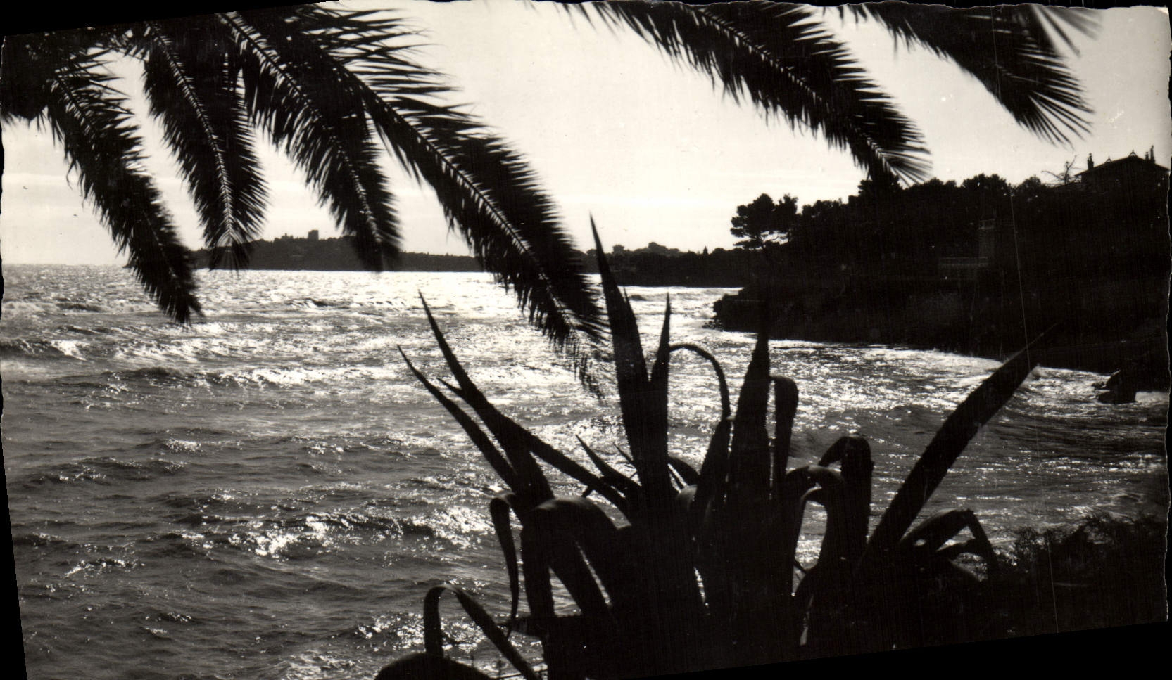 CPM Beaulieu Sur Mer Coucher de soleil sur le Cap Ferrat et la promenade Maurice Rouvier