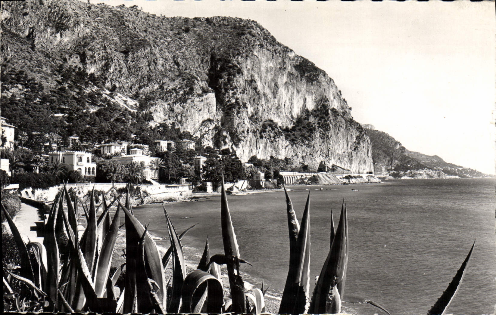 VINTAGE POSTCARD Beaulieu On Sea Small Africa At the Bottom the Ail Cape
