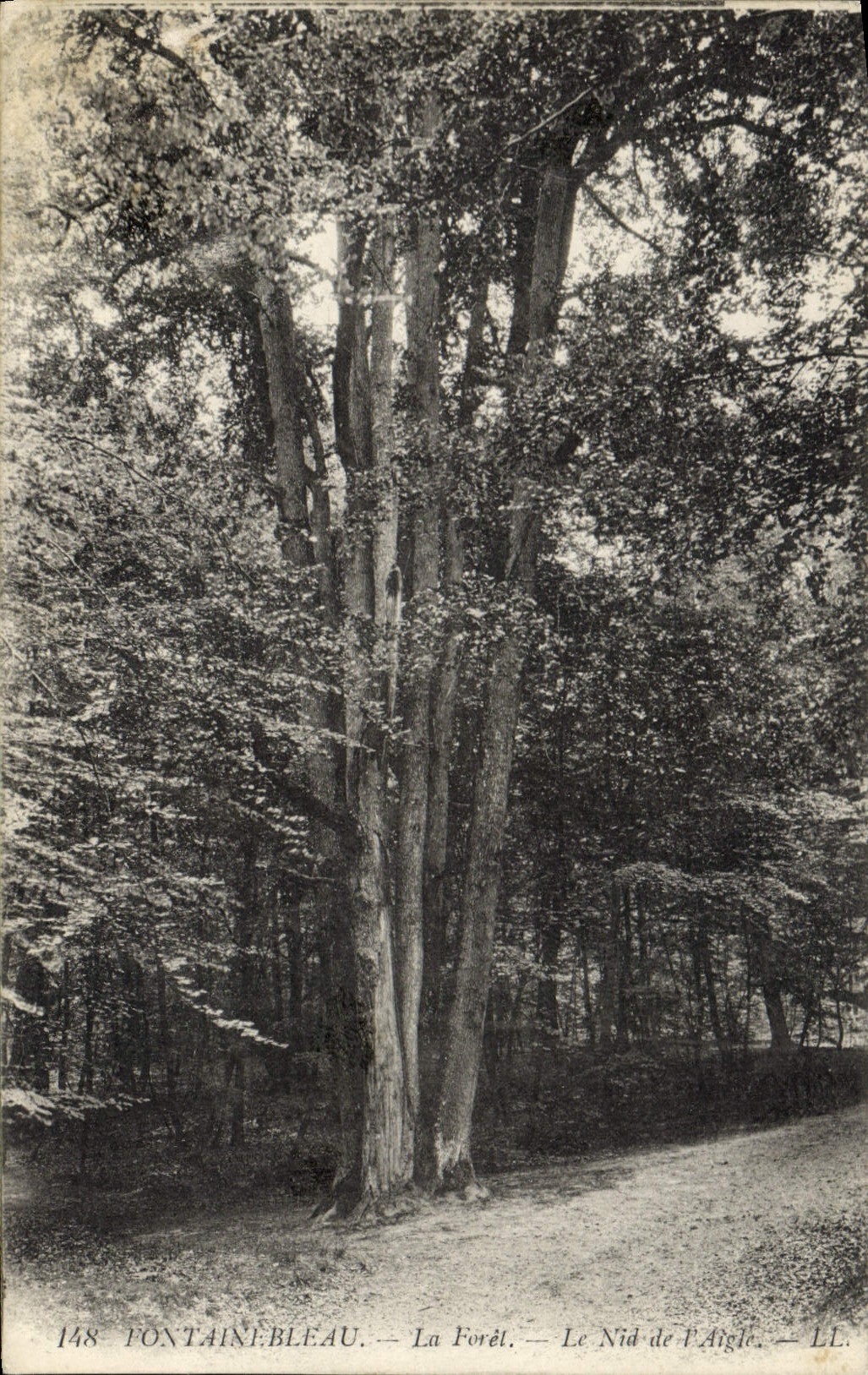 CPA Fontainebleau La Forel Le Nid de l'Aigle
